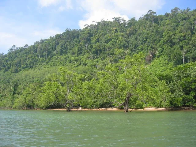 KOH LANTA - PROPERTY - 2005 (9).jpg