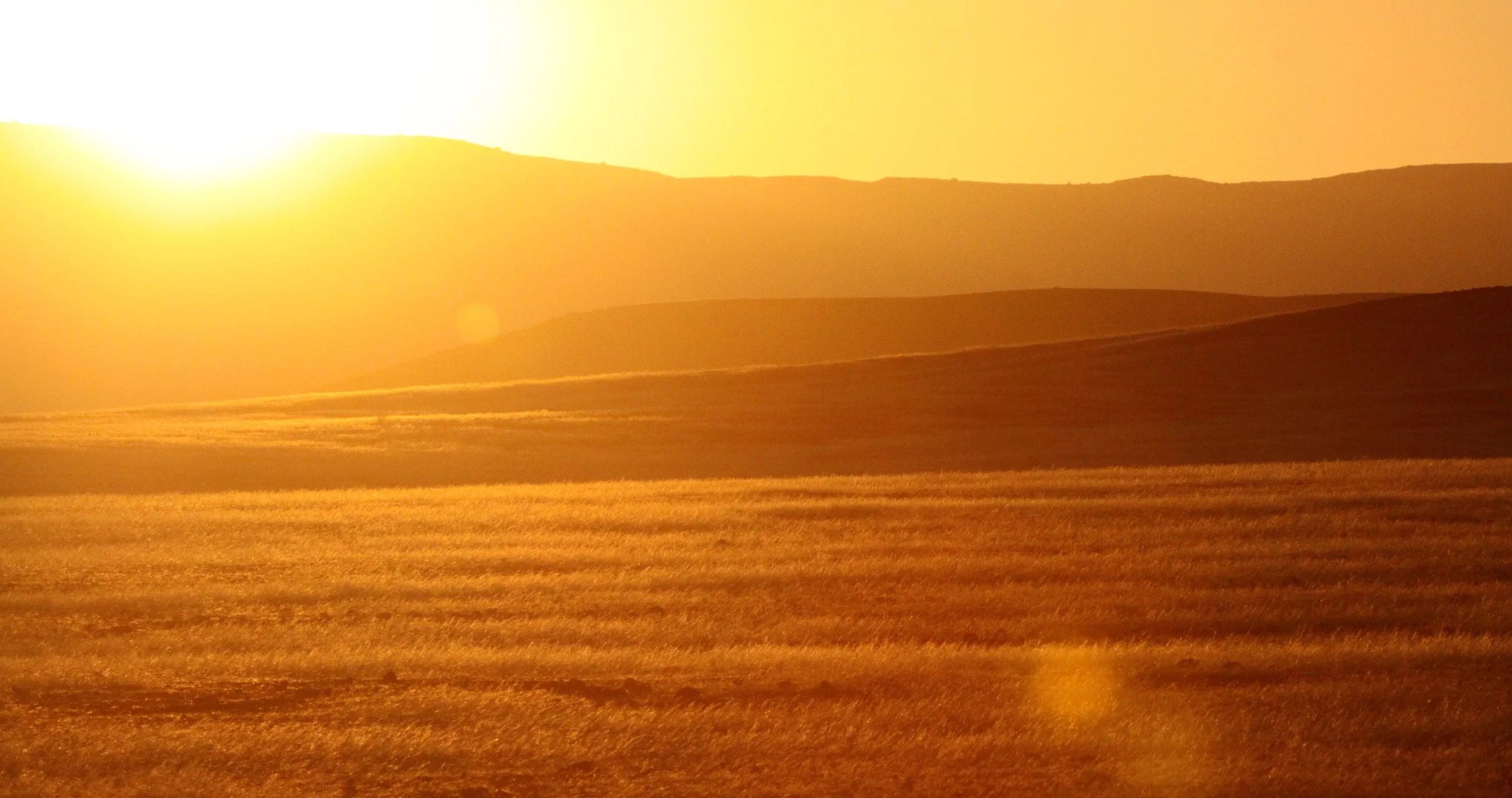 NAMIBIA - SKELETON COAST NATIONAL PARK - EAST ENTRANCE (25).JPG