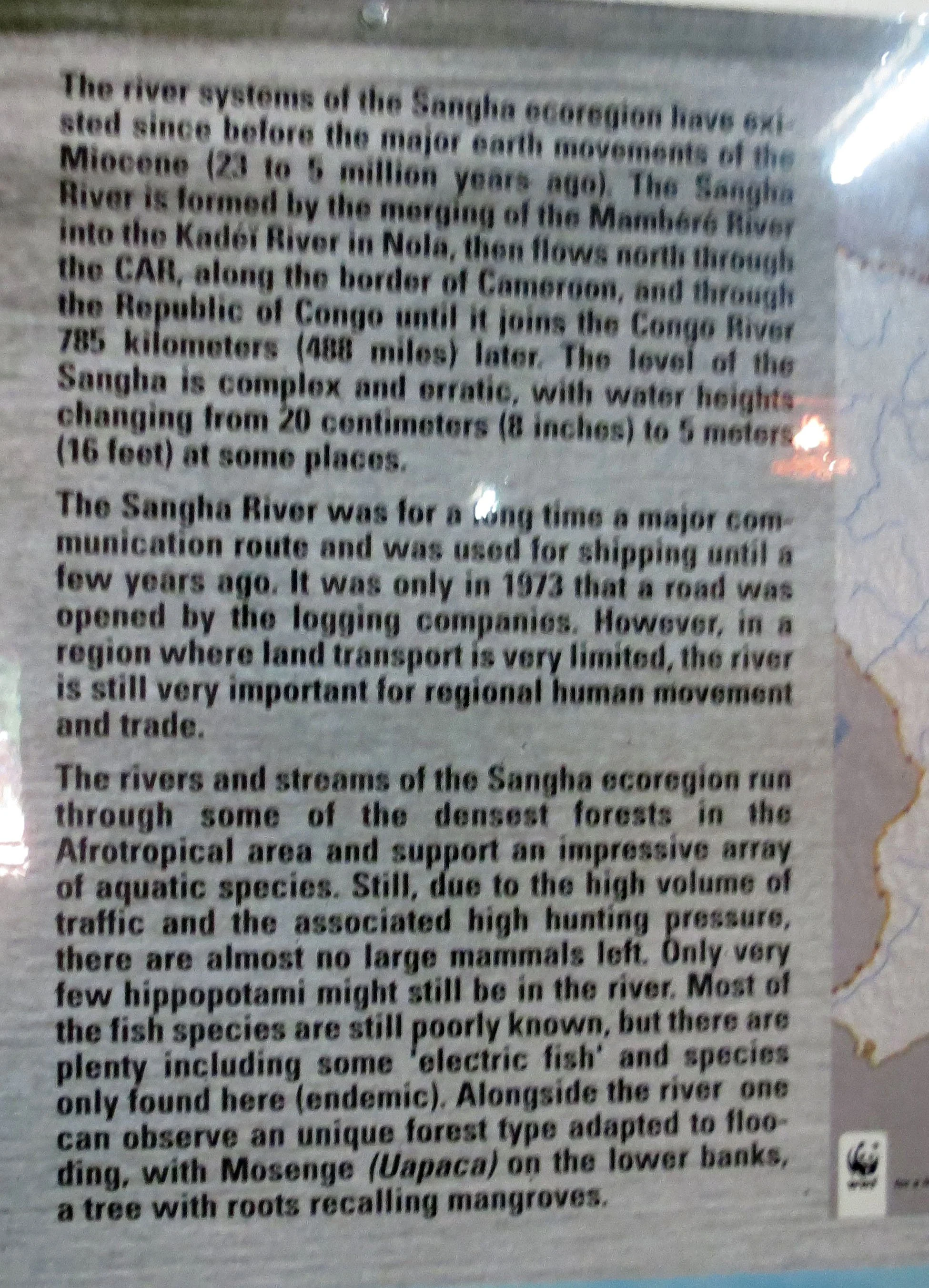 DZANGA NDOKI NATIONAL PARK CENTRAL AFRICAN REPUBLIC (69).JPG