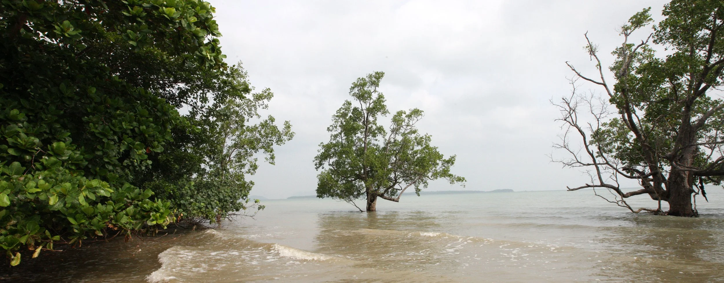 LANTA ISLAND - OUR PROPERTY - WINTER 2011 (29).JPG