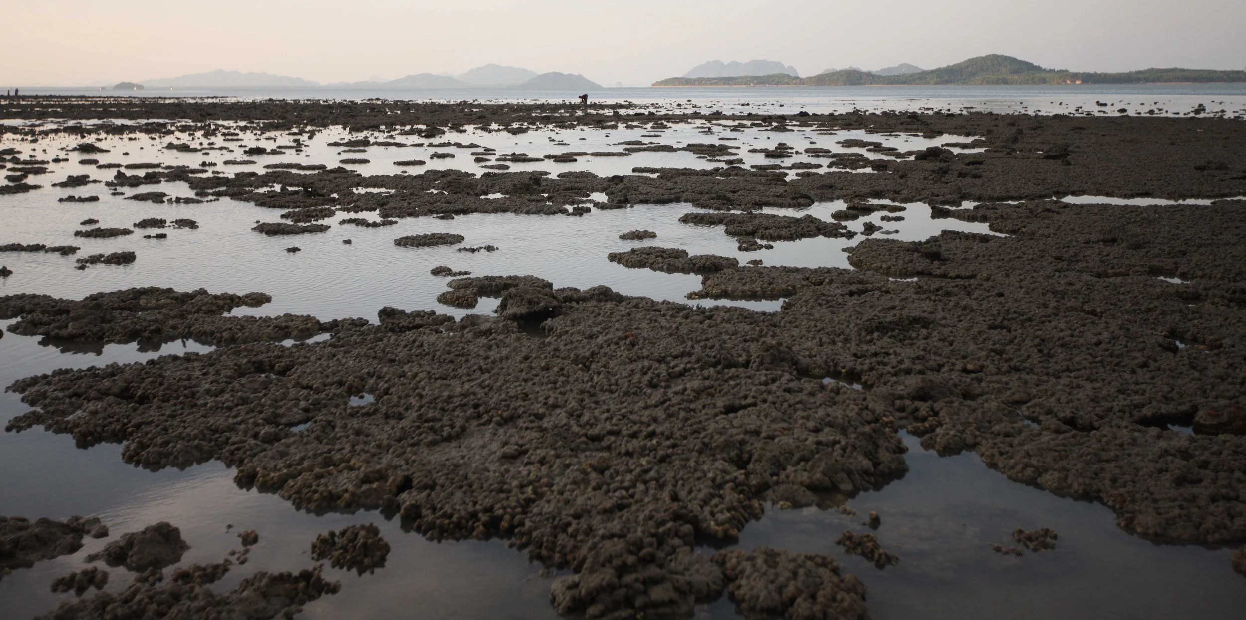 2015 Koh Lanta Songkran with friends from ISB (221).JPG