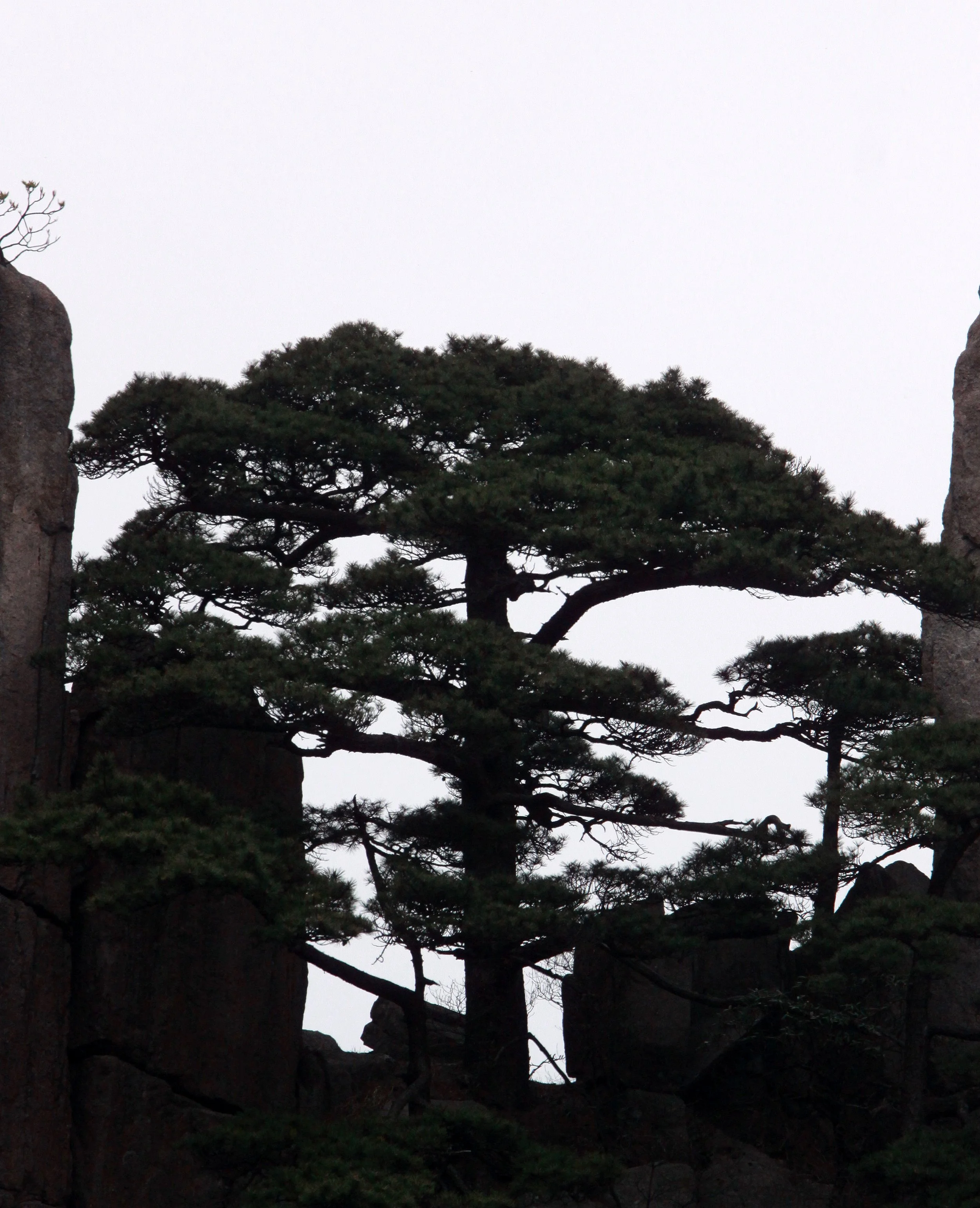 HUANGSHAN NATIONAL PARK - ANHUI PROVINCE CHINA (59).JPG