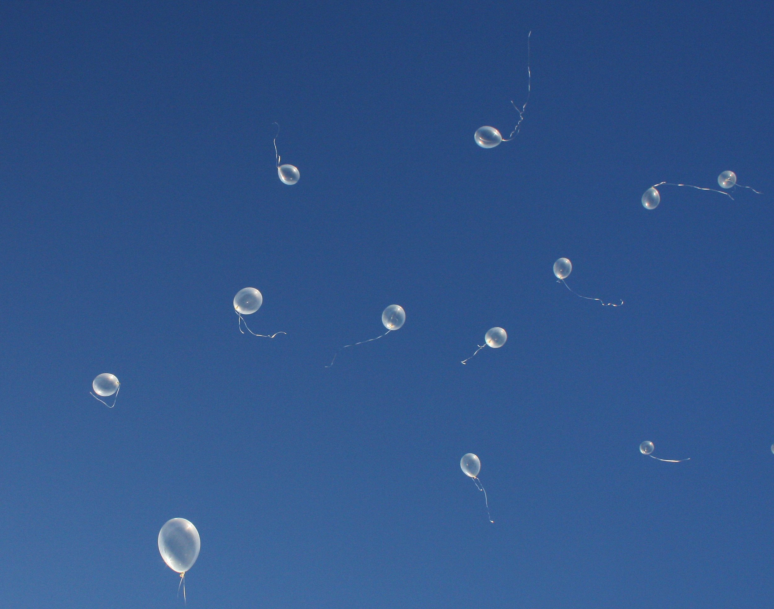 2008-6-21 ANDREW'S WEDDING - LEBANON OREGON (57).JPG