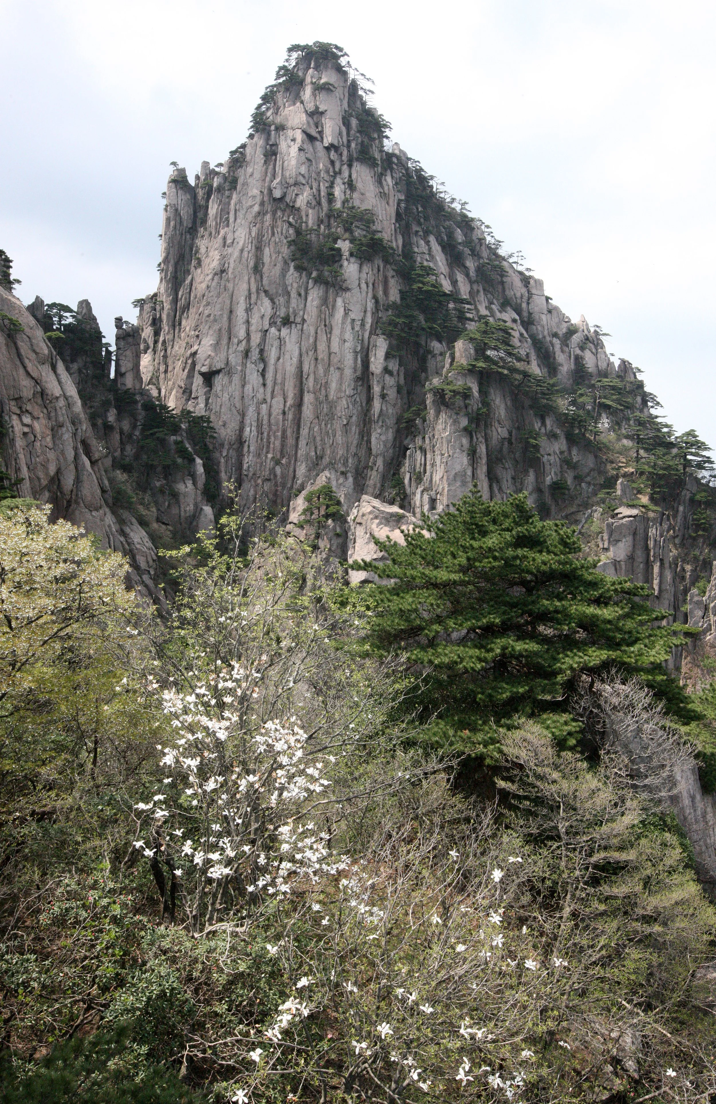 HUANGSHAN NATIONAL PARK ANHUI PROVINCE CHINA (60).JPG