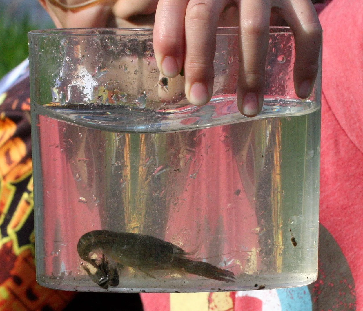 KYOTO - MAY 2009 - CITY SCENES AND LANDSCAPES (49).JPG