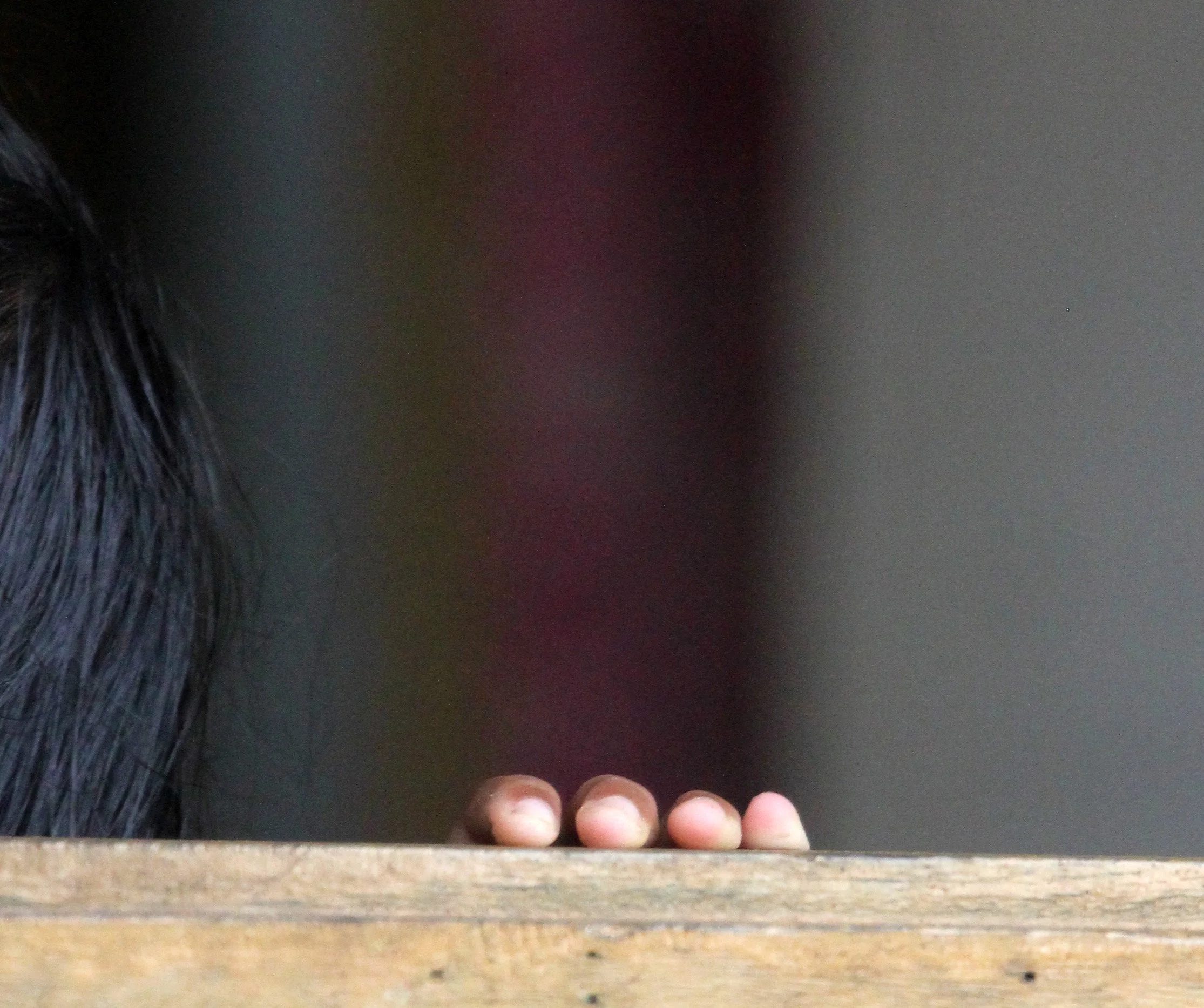 KITULGALA NATIONAL FOREST RESERVE SRI LANKA (3).JPG