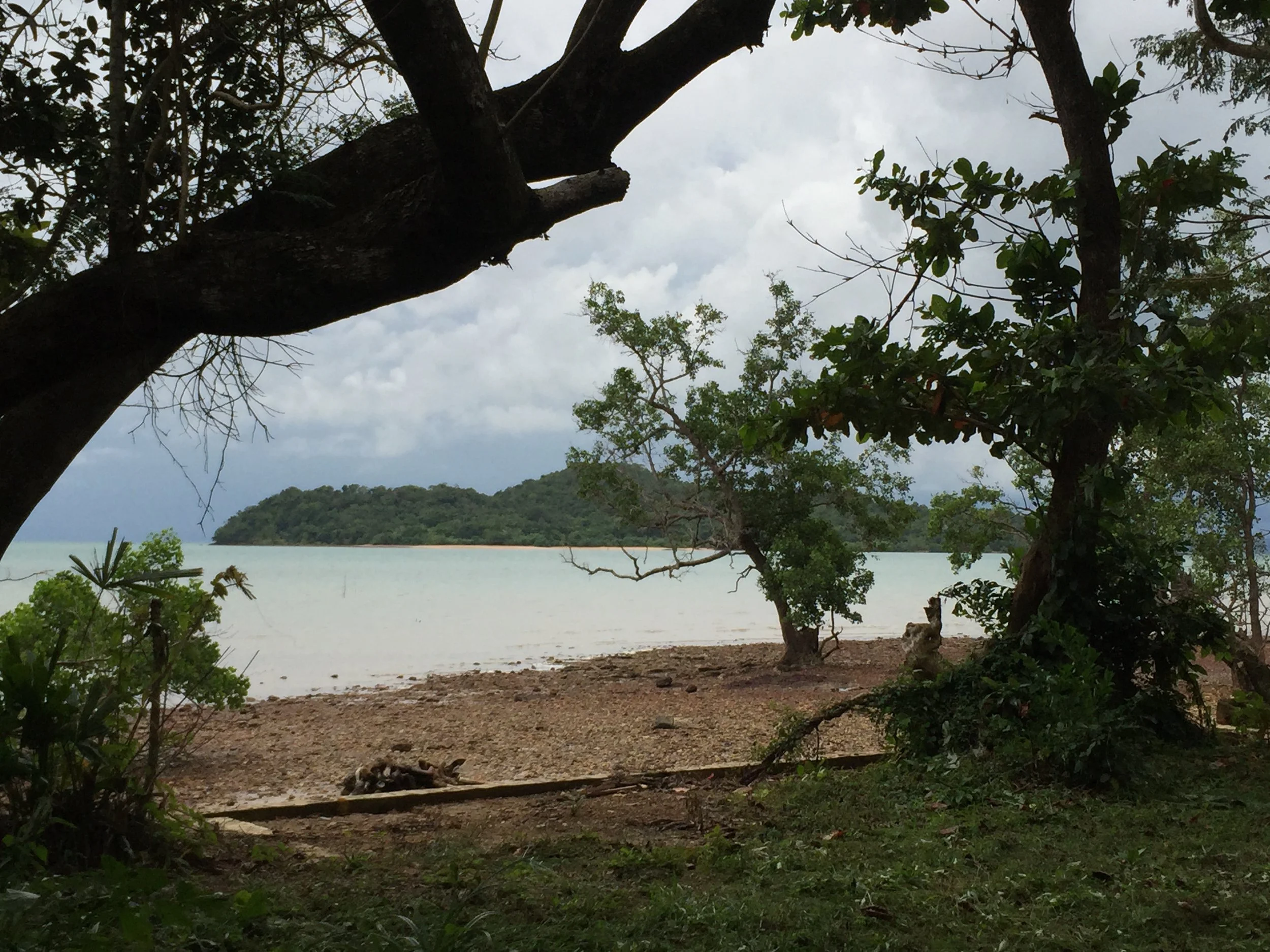 2015 Koh Lanta Garden & Nature (185).JPG
