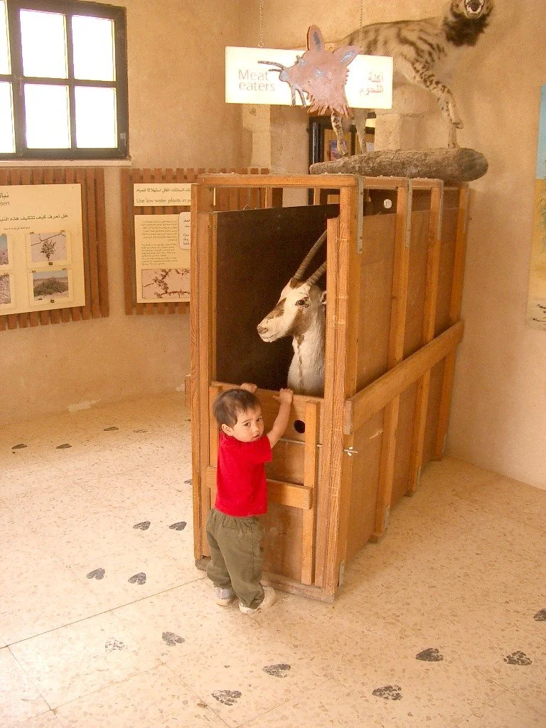 SHAUMARI CAPTIVE BREEDING CENTER (21).JPG