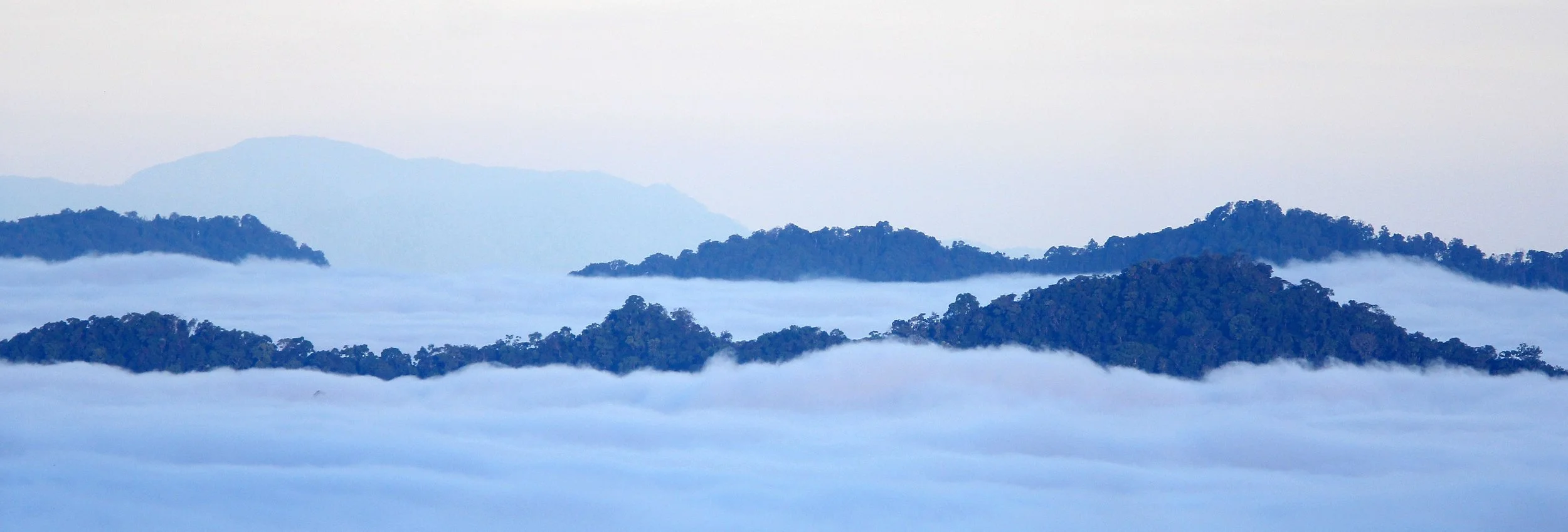 If the inversion is strong and the sun is weak (common in winter), the fog can last for several days.