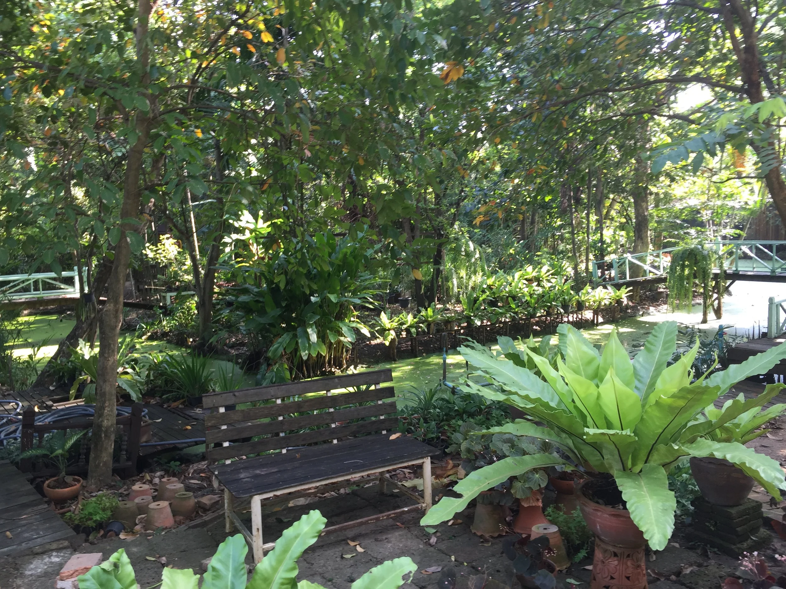 BKK - RIDE TO SUAN THIP PAKKRET FALL 2015 (21).JPG