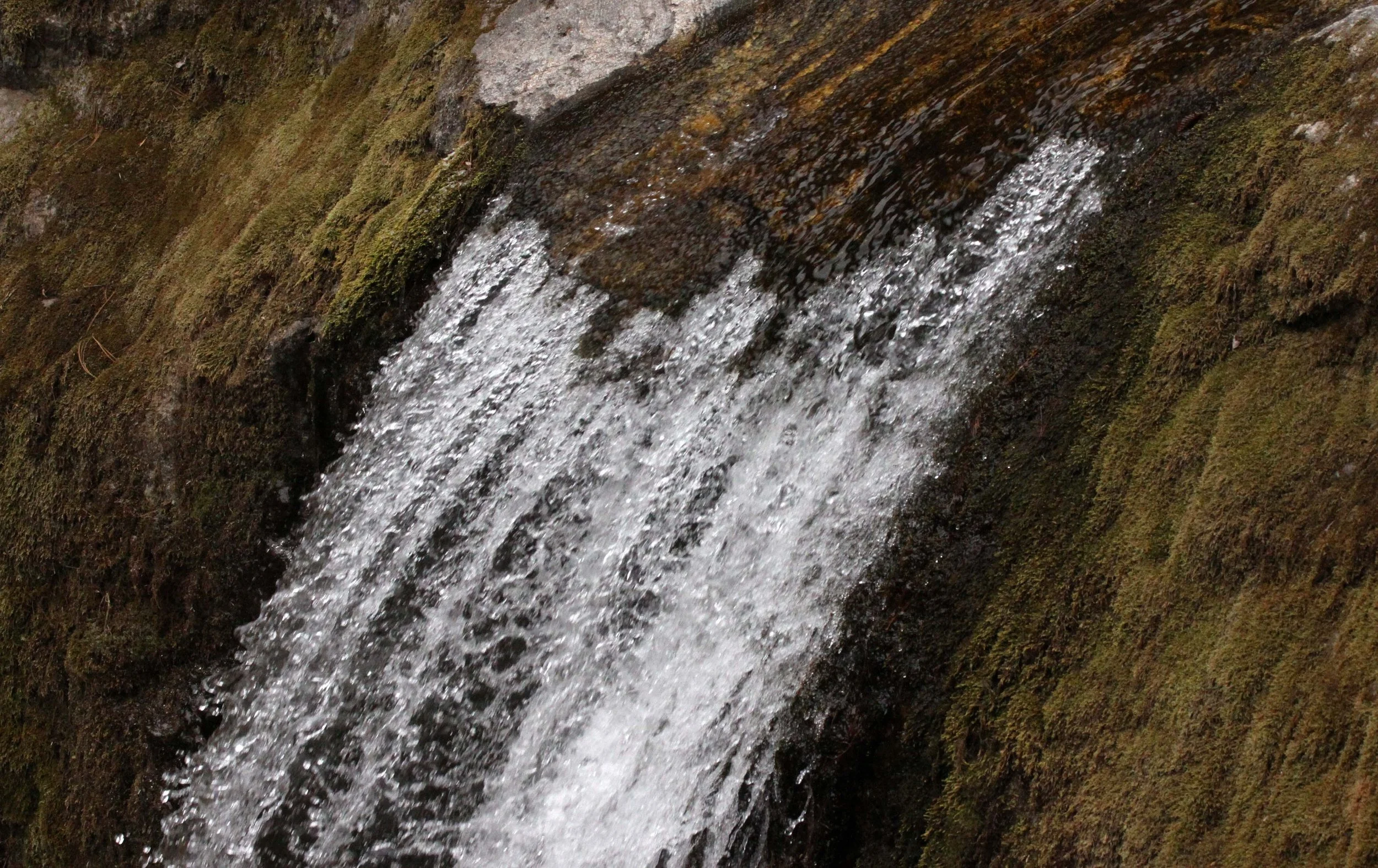 FOPING NATURE RESERVE - SHAANXI PROVINCE CHINA (117).JPG