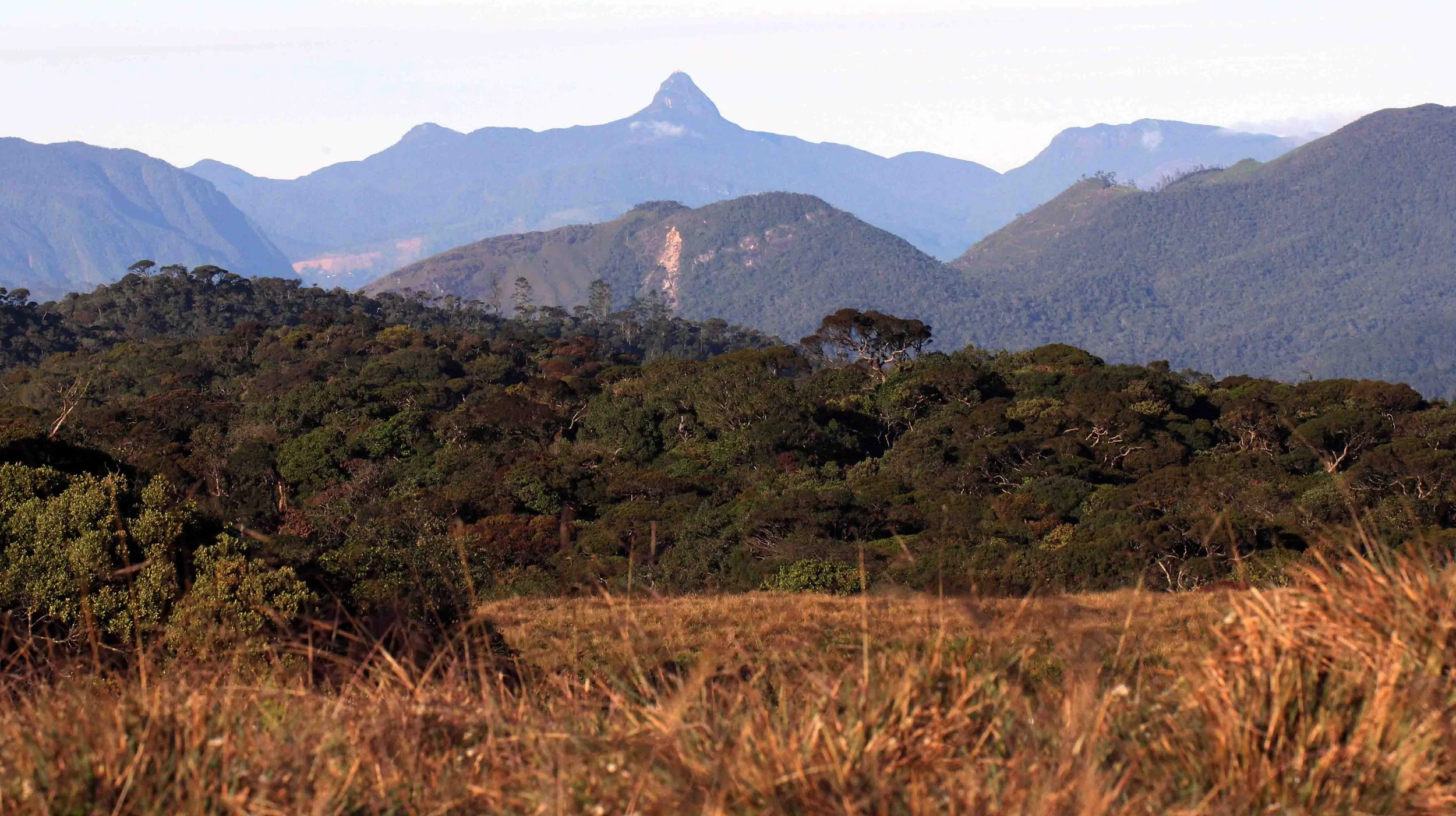 NUWARA ELIYA， HORTON PLAINS NATIONAL PARK,  SRI LANKA (19).JPG
