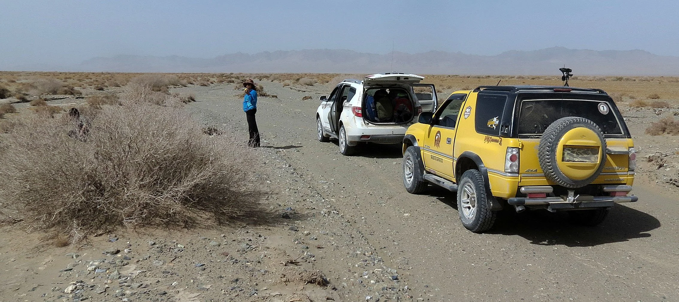 LOP NUR WILD BACTRIAN CAMEL RESERVE - XINJIANG CHINA (8).JPG