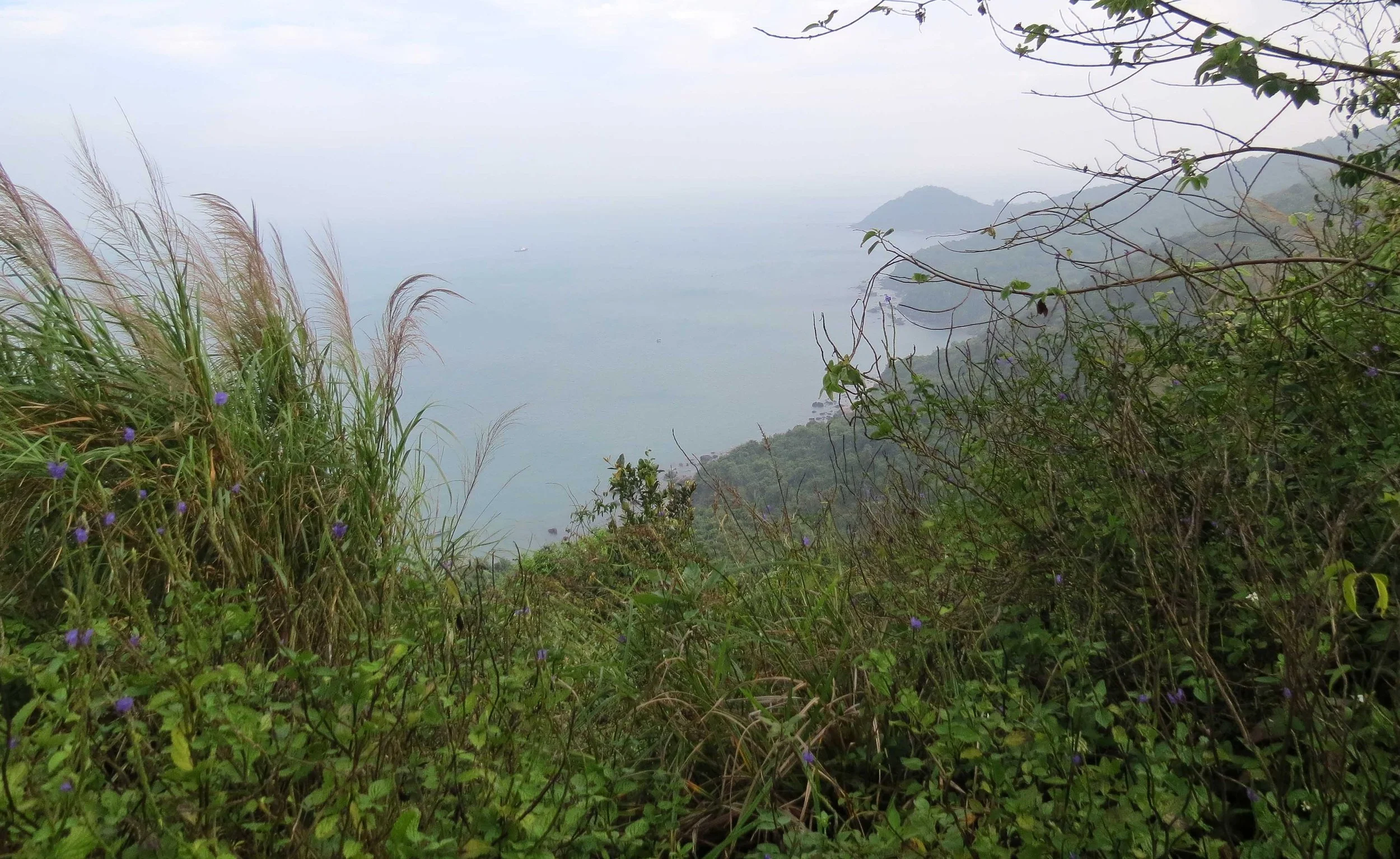 SON TRA PENINSULA - COKIE'S IMAGES (2).JPG