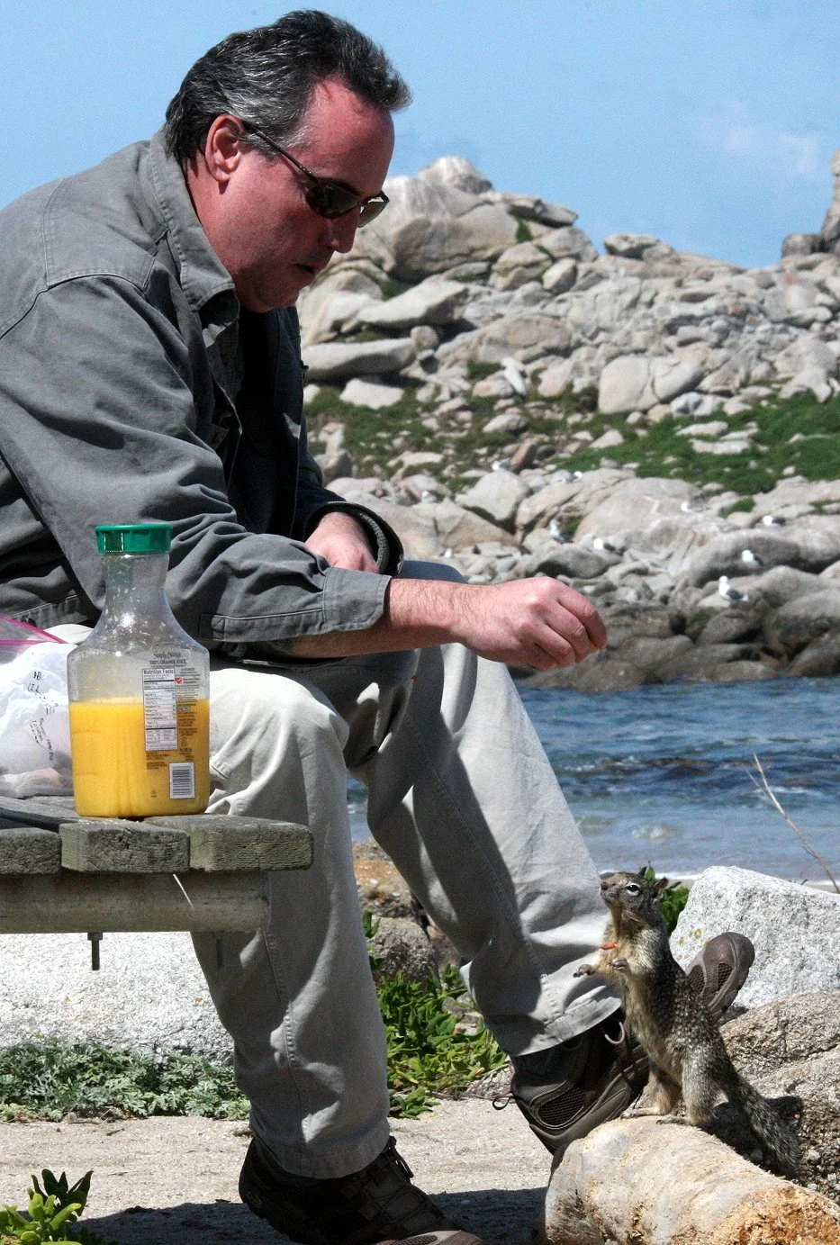 2010-3-31 ELKHORN SLOUGH & MONTEREY CALIFORNIA - ROADTRIP 2010 (16).JPG