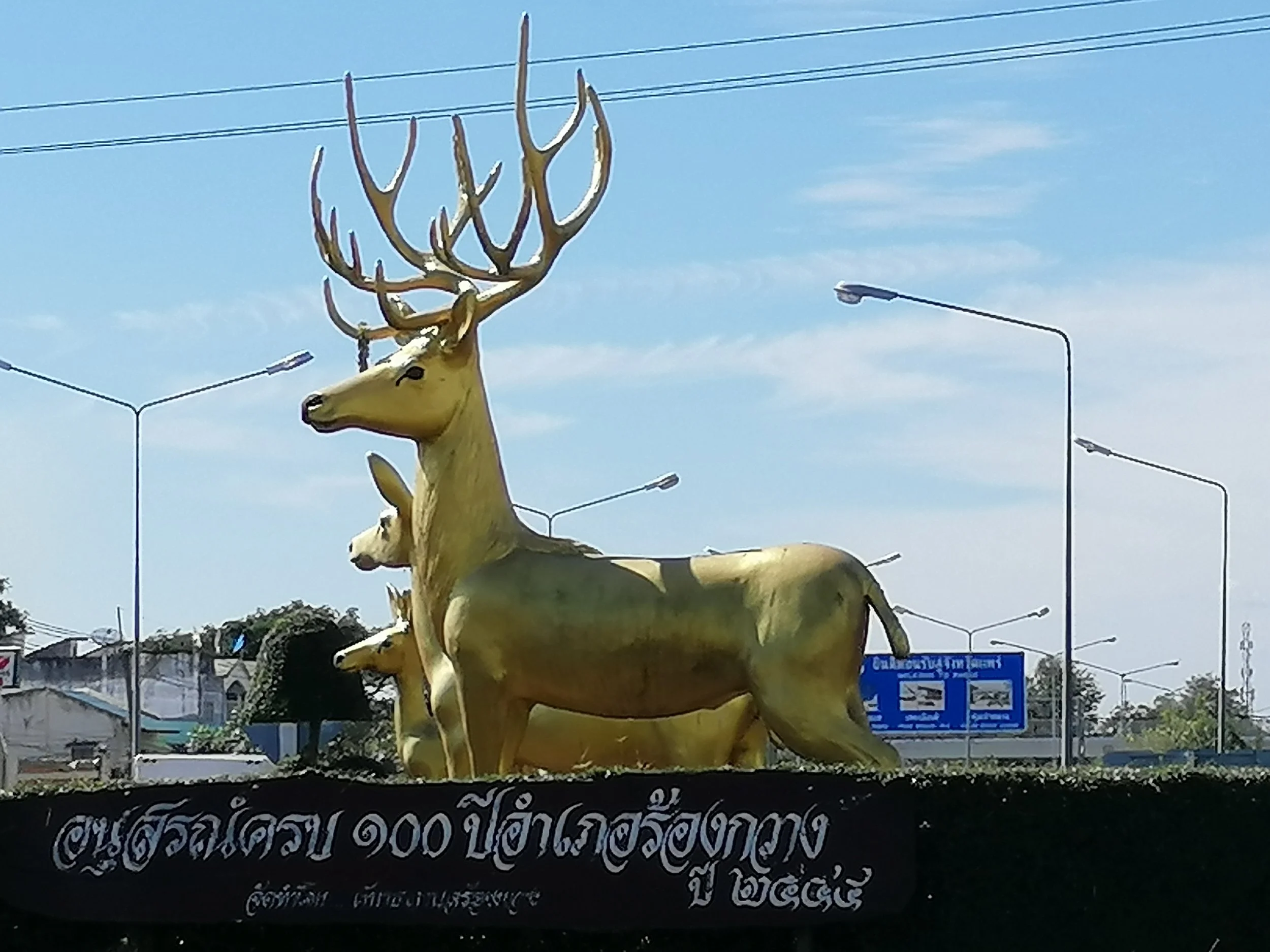IMG_20190103_114625.jpg