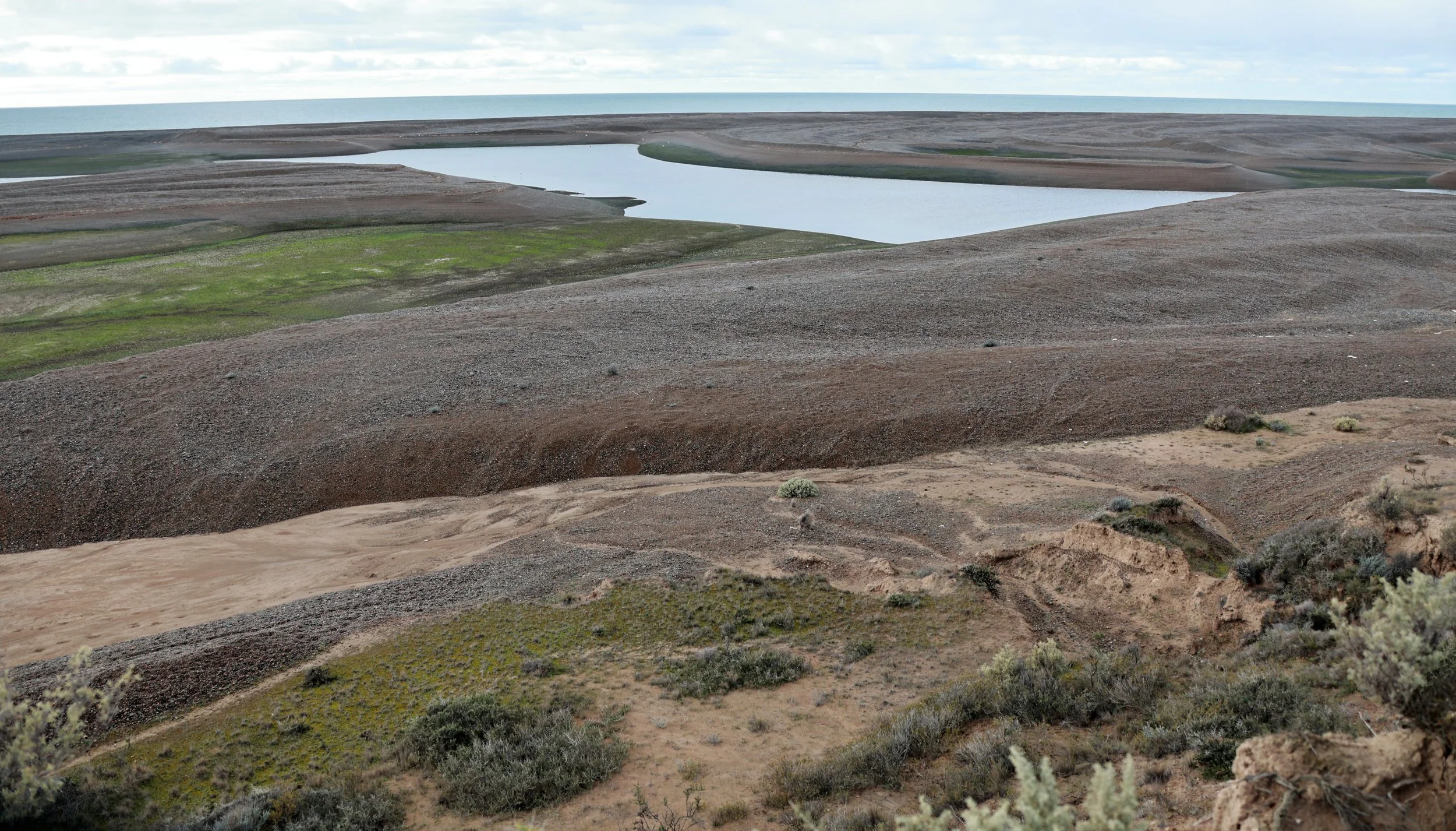 Valdes Peninsula, Chubut Province, Argentina (15).jpg