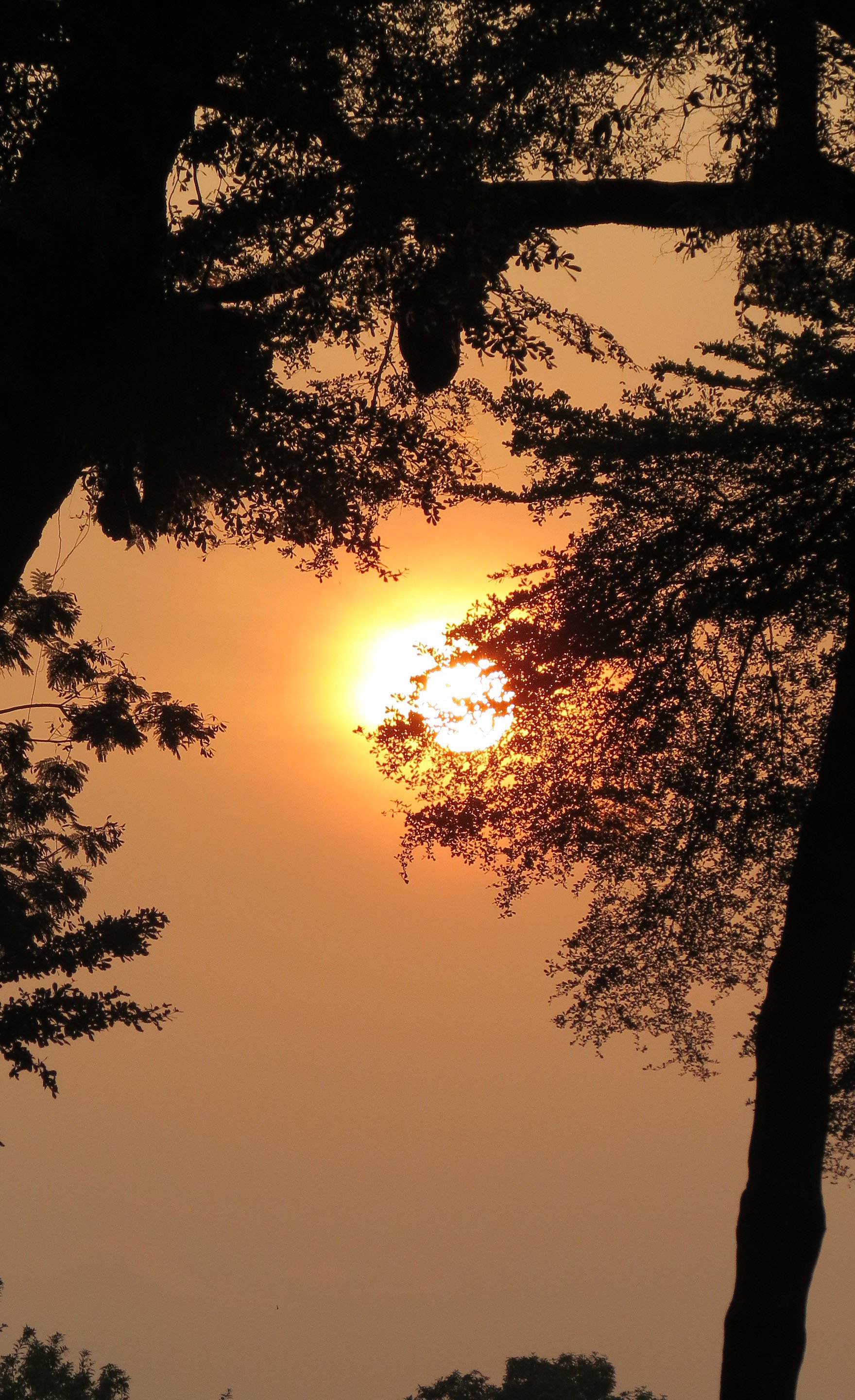 BANGUI -CENTRAL AFRICAN REPUBLIC (68).JPG