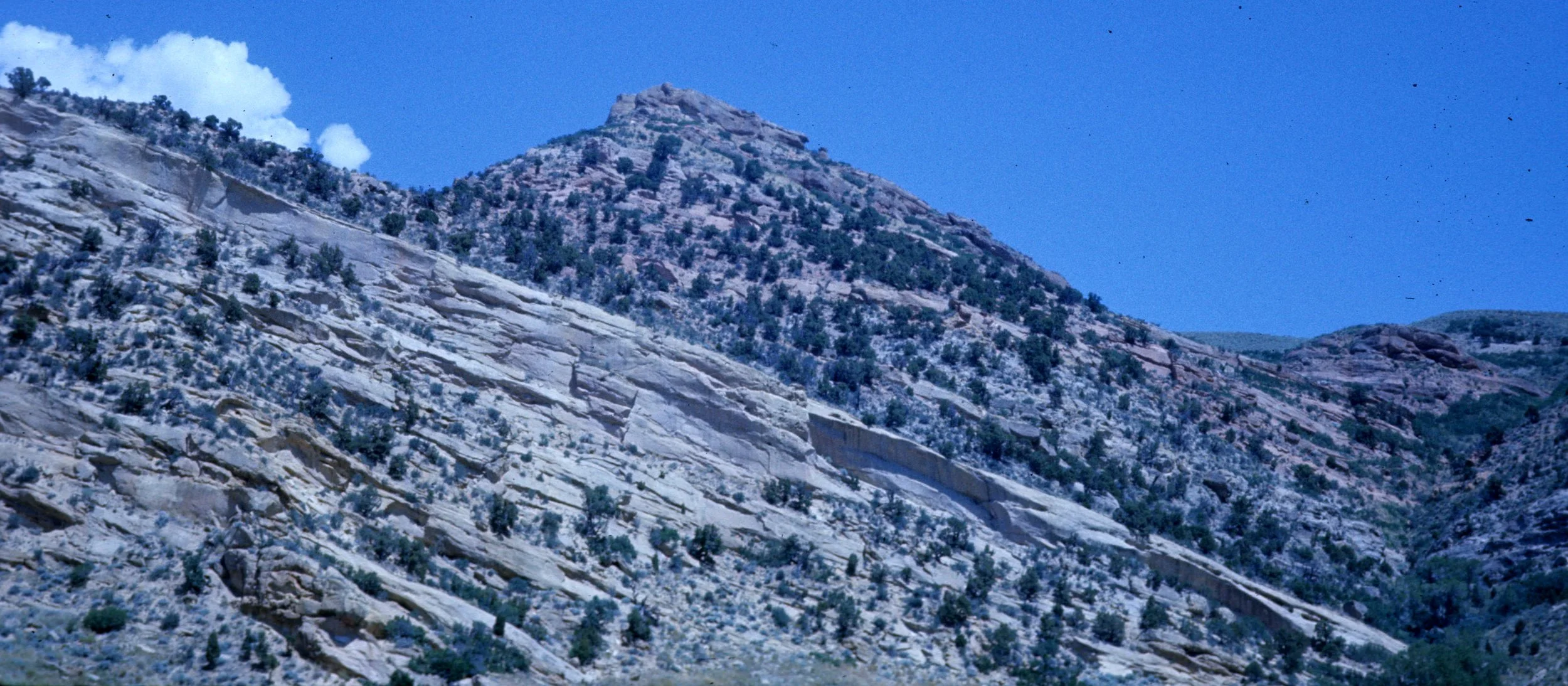 1977 - SUMMER TRIP - YOSEMITE.jpg