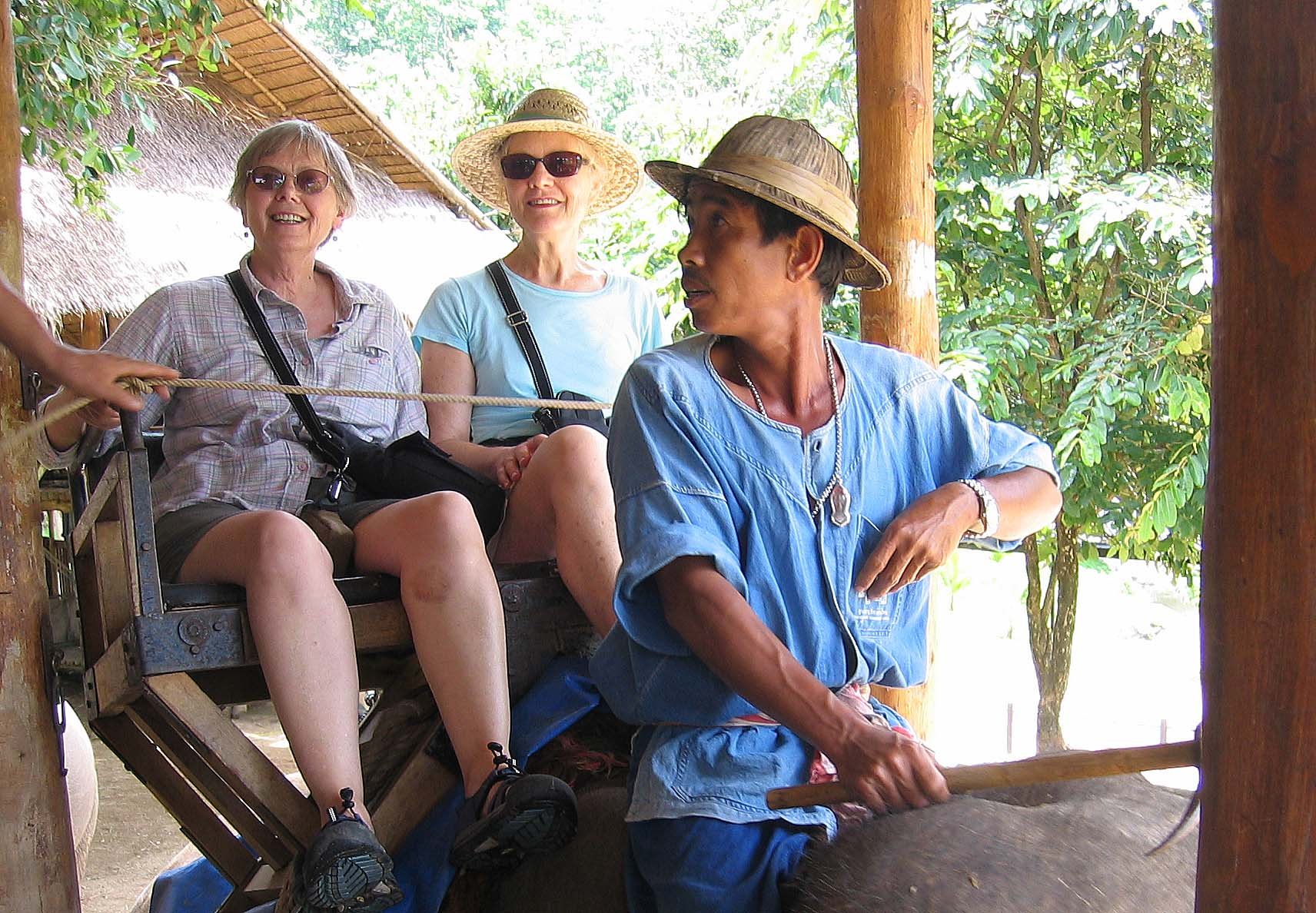 2008 Lampang City & Elephant Center (153).jpg