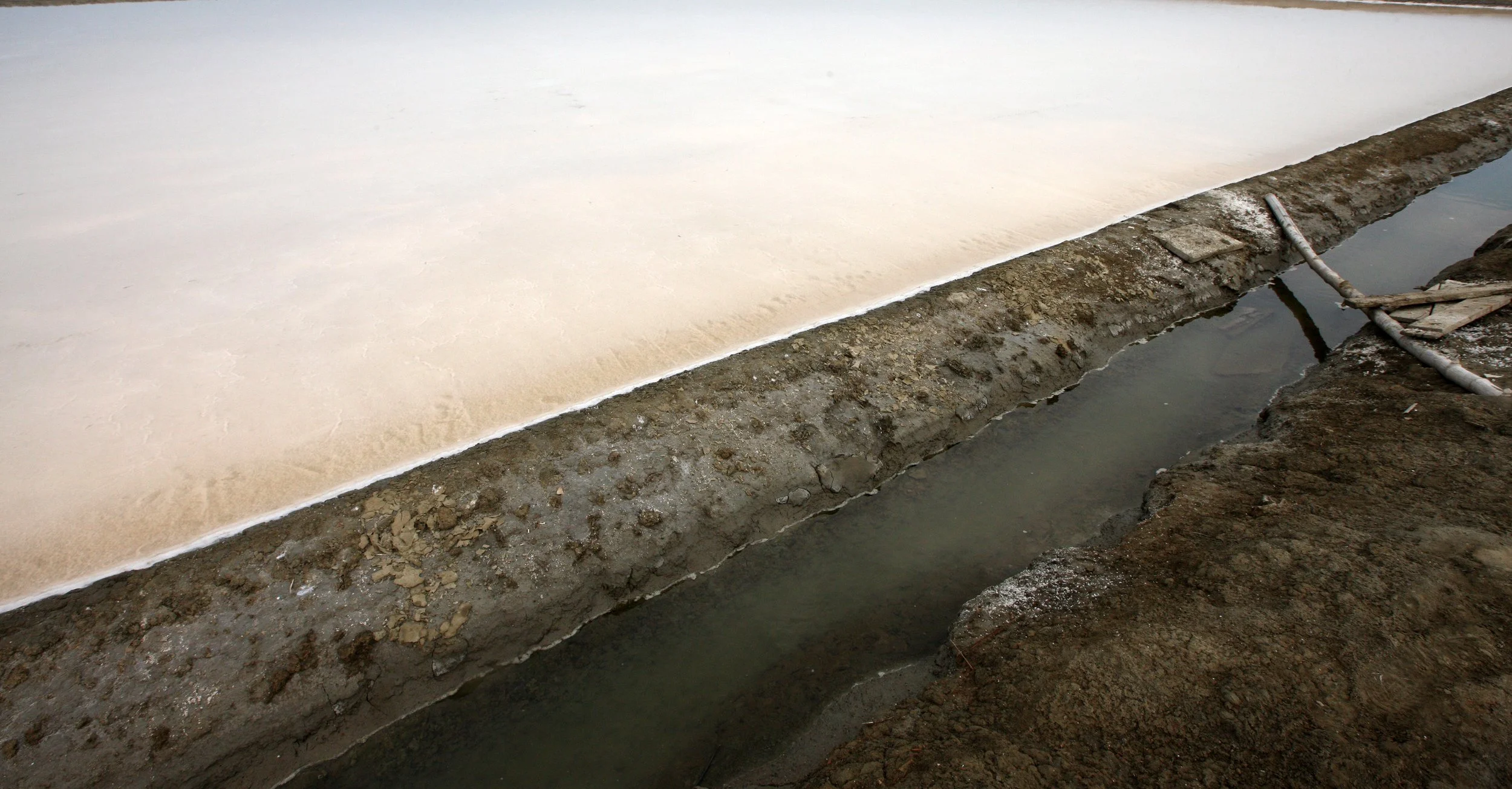 2011 Pak Thale Salt Ponds (20).JPG