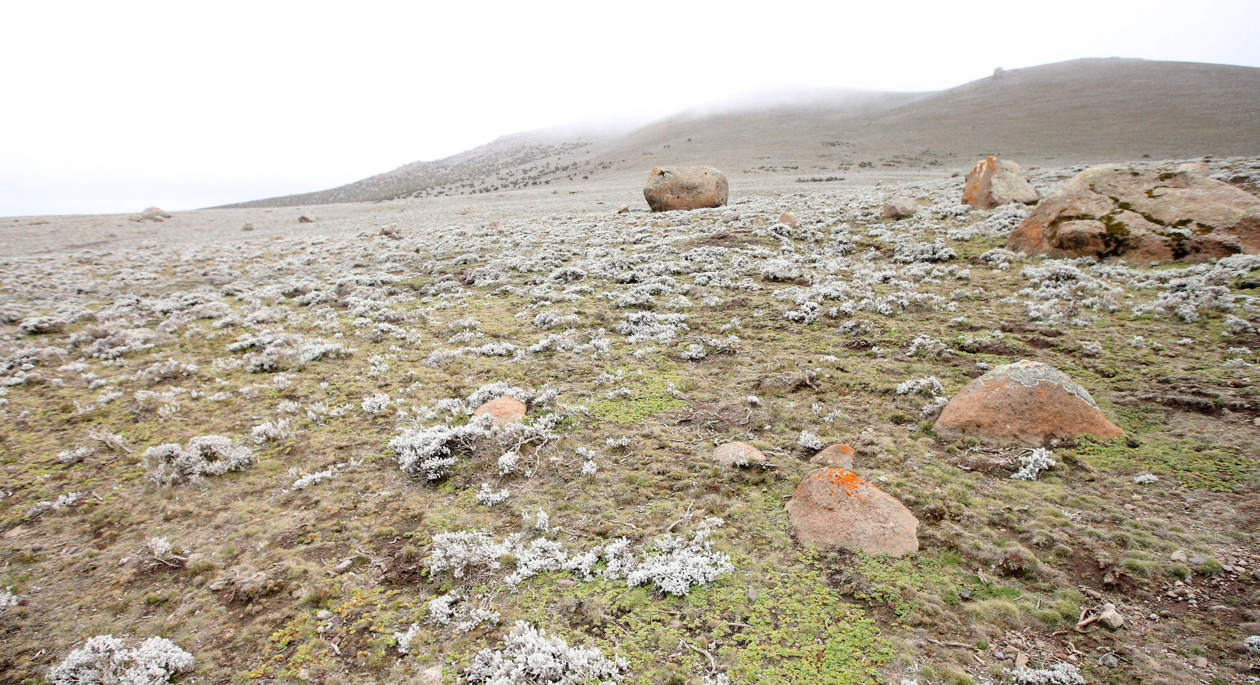 BALE MOUNTAINS NATIONAL PARK ETHIOPIA - SANETTI PLATEAU (10).JPG