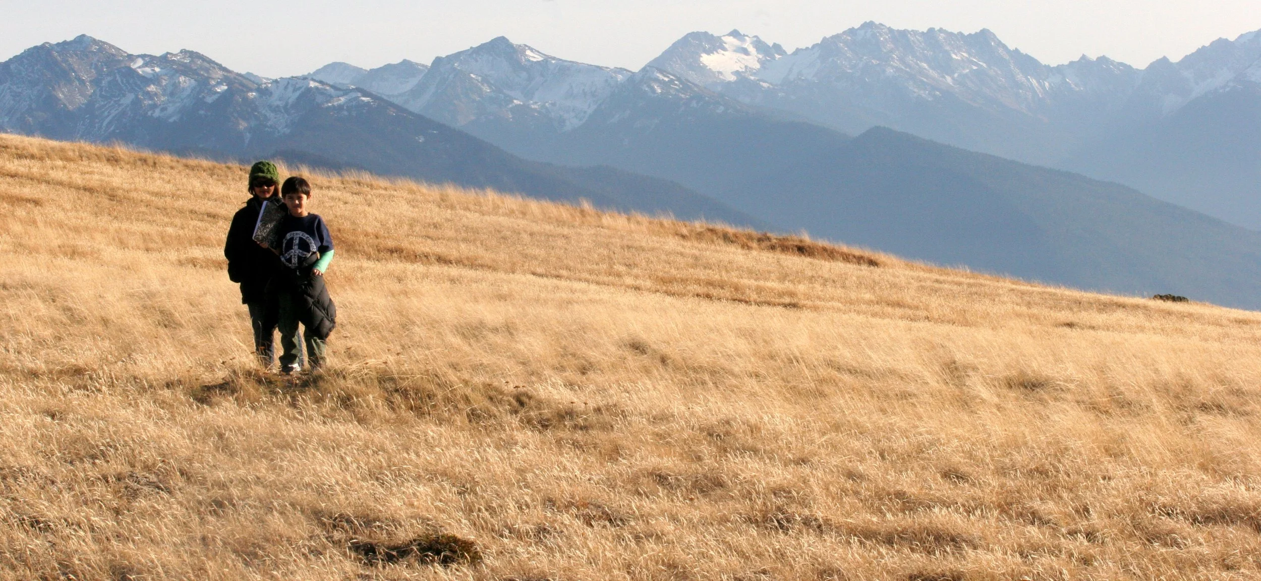 2008-10-25 DAY ON HURRICANE RIDGE.JPG