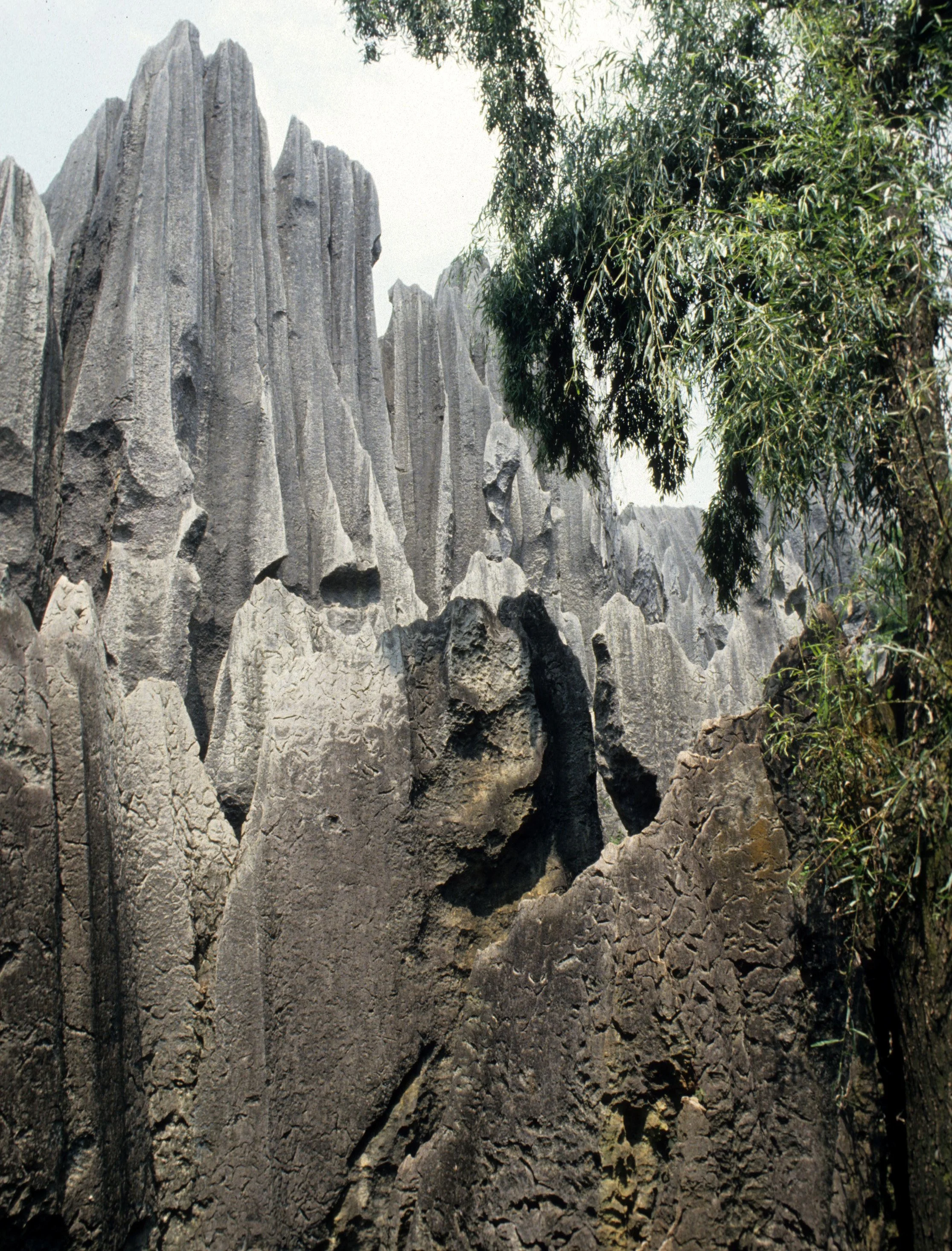 STONE FOREST - KUNMING CHINA (5).jpg