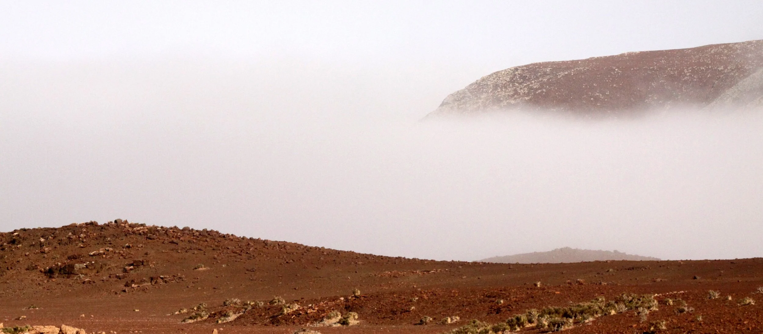 NAMIBIA - SKELETON COAST NATIONAL PARK - SCENERY (3).JPG