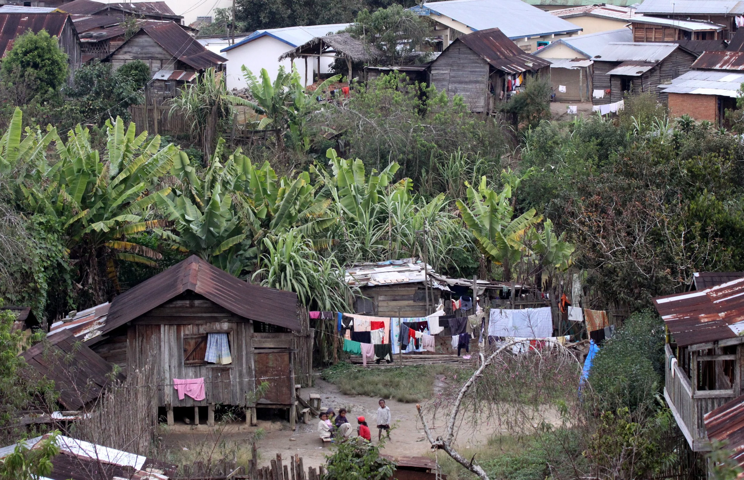 Mantadia & Andisabe National Parks