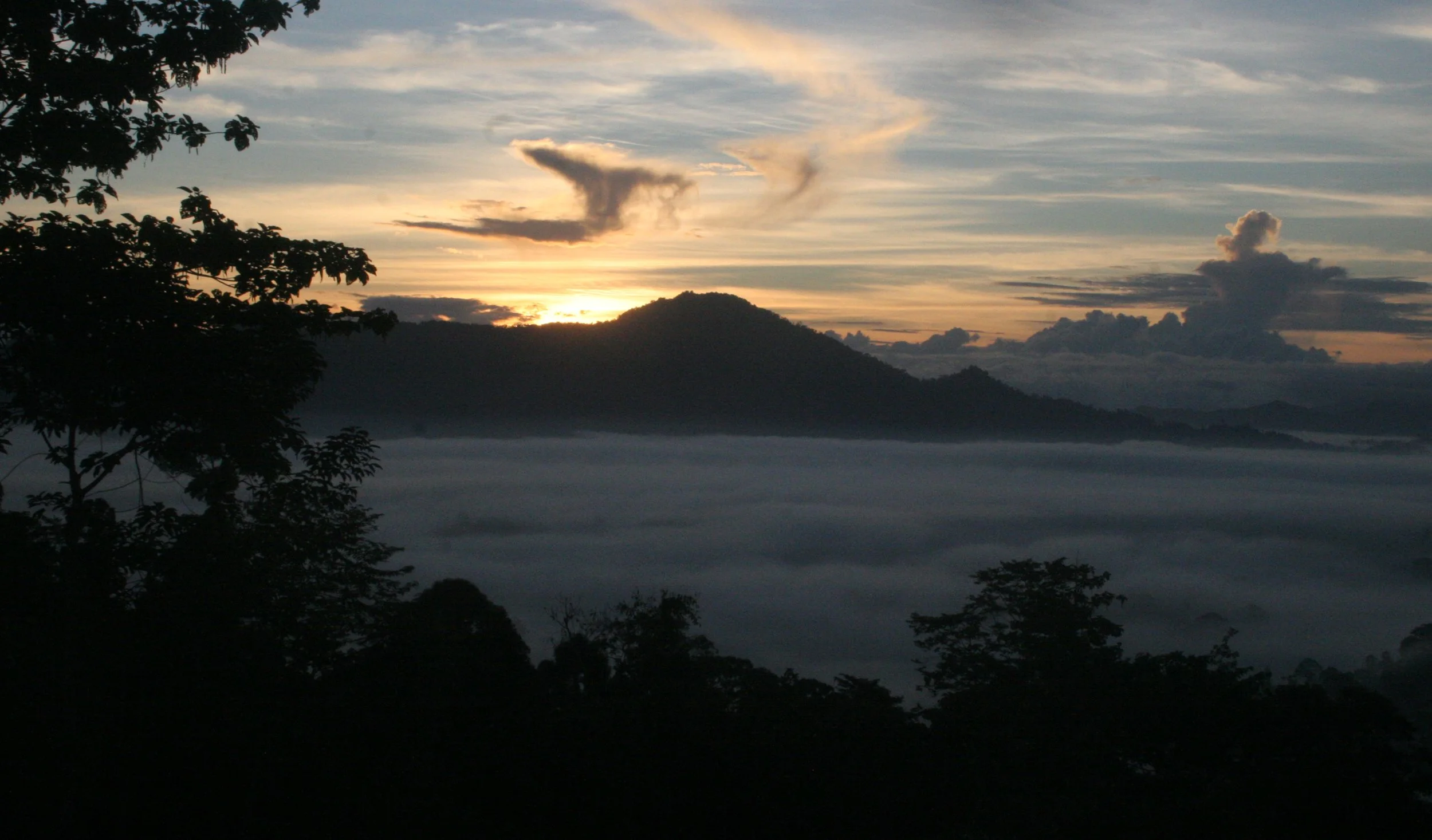 DANUM VALLEY BORNEO - SUNRISE OVER THE DANUM (50).JPG