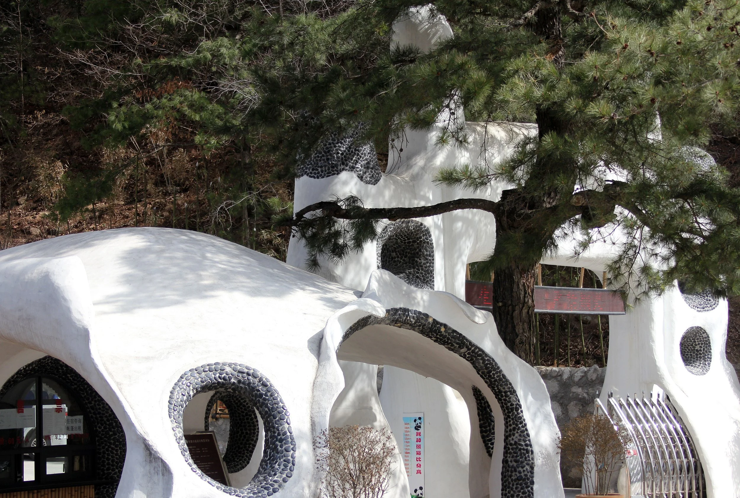 FOPING NATURE RESERVE, SHAANXI CHINA (10).JPG