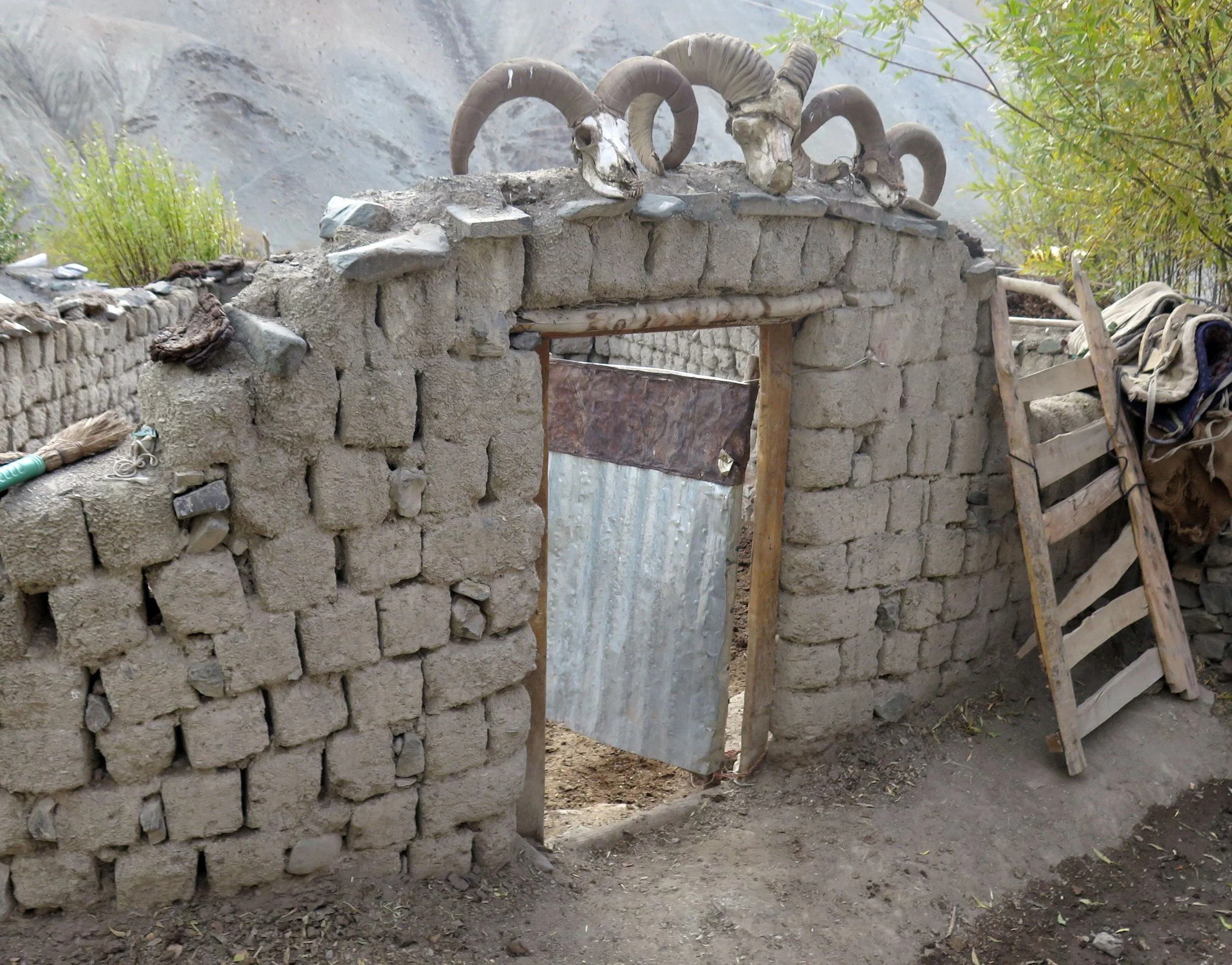 HEMIS NATIONAL PARK - LADAKH INDIA - JAMMU & KASHMIR NEAR RUMBAK VILLAGE (664).JPG