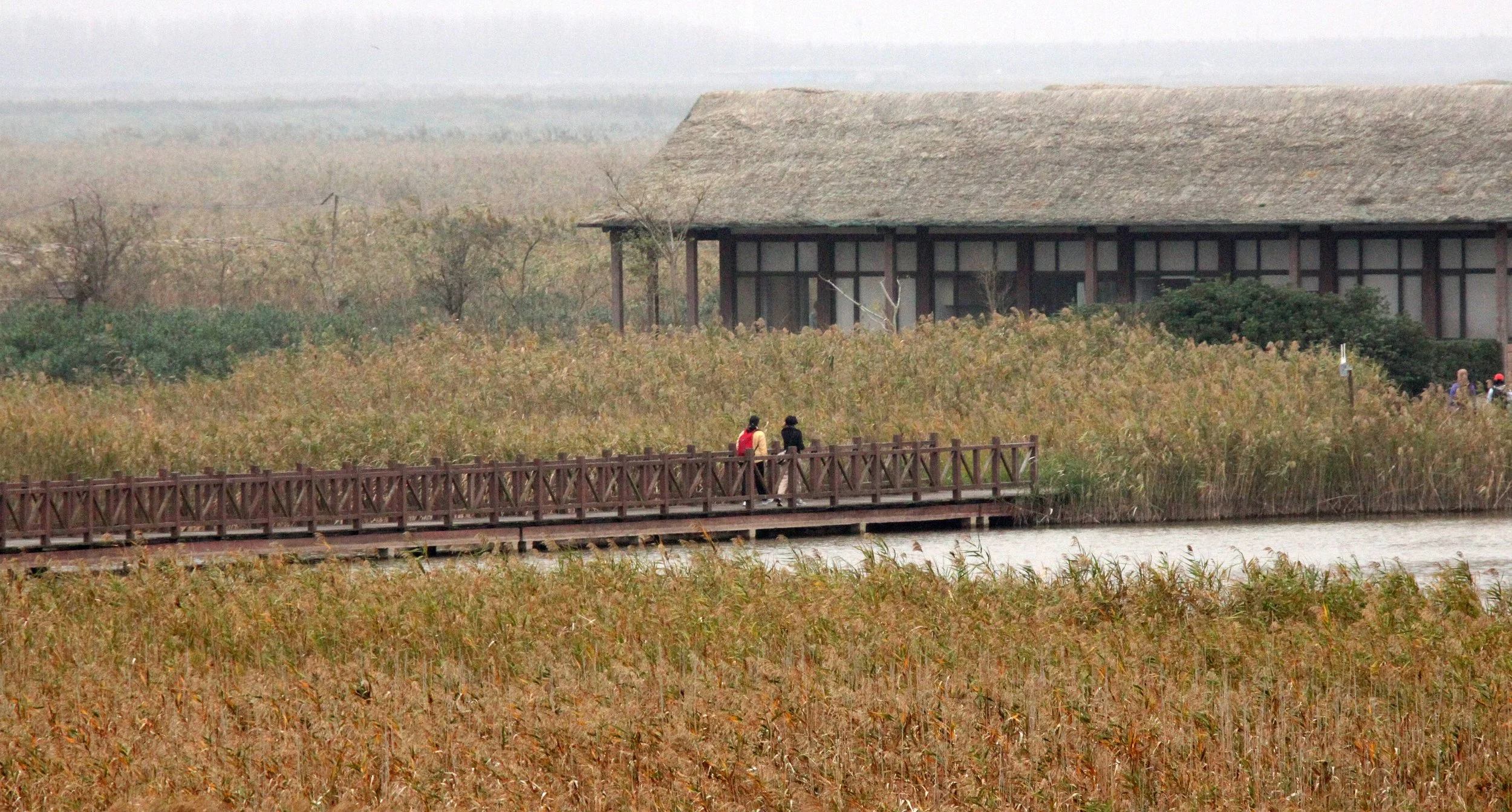 CHONGMING ISLAND DONGTAN WETLANDS RESERVE FIELD TRIP 2011 (33).JPG