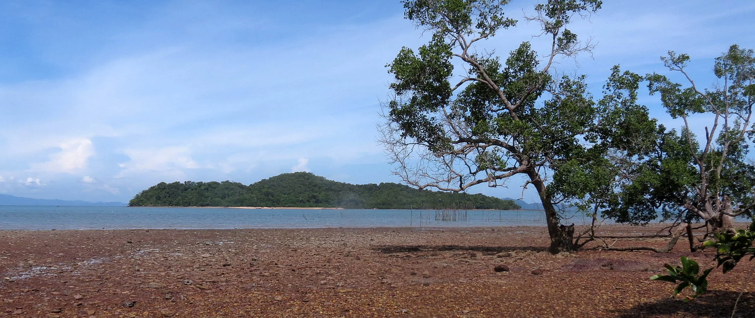 2014 Koh Lanta Build (10).JPG