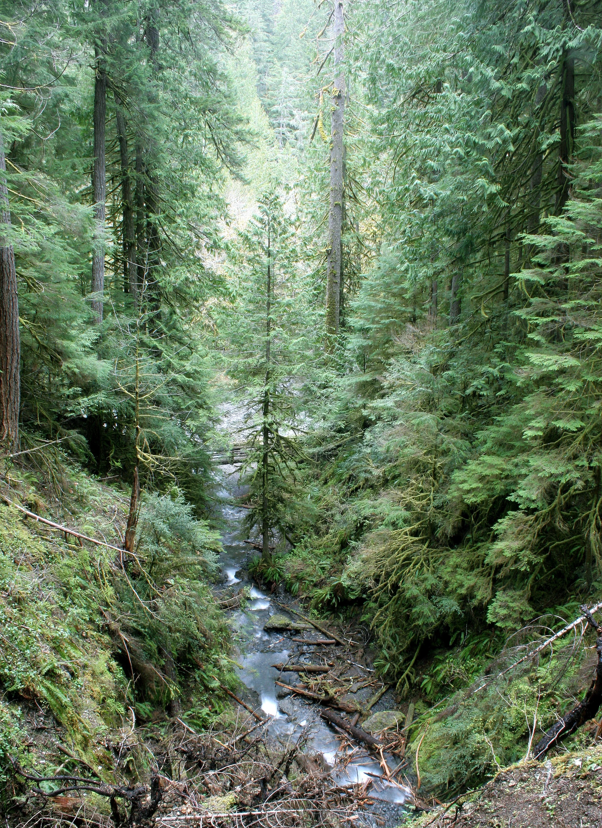 MARYMERE FALLS (3).JPG