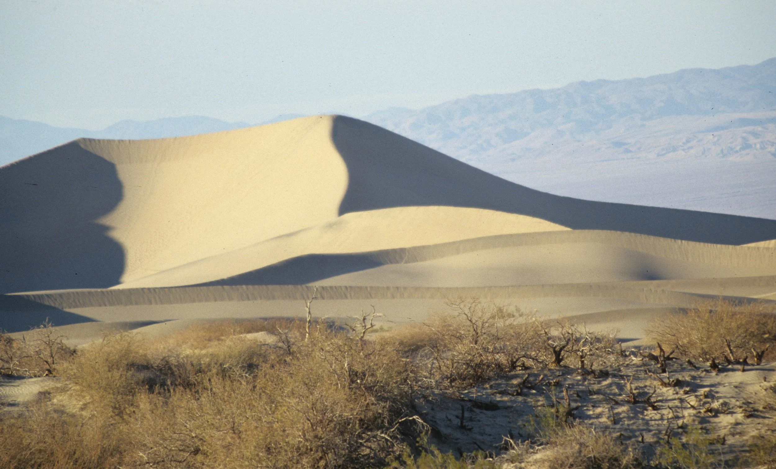 DEATH VALLEY - DUNES.jpg