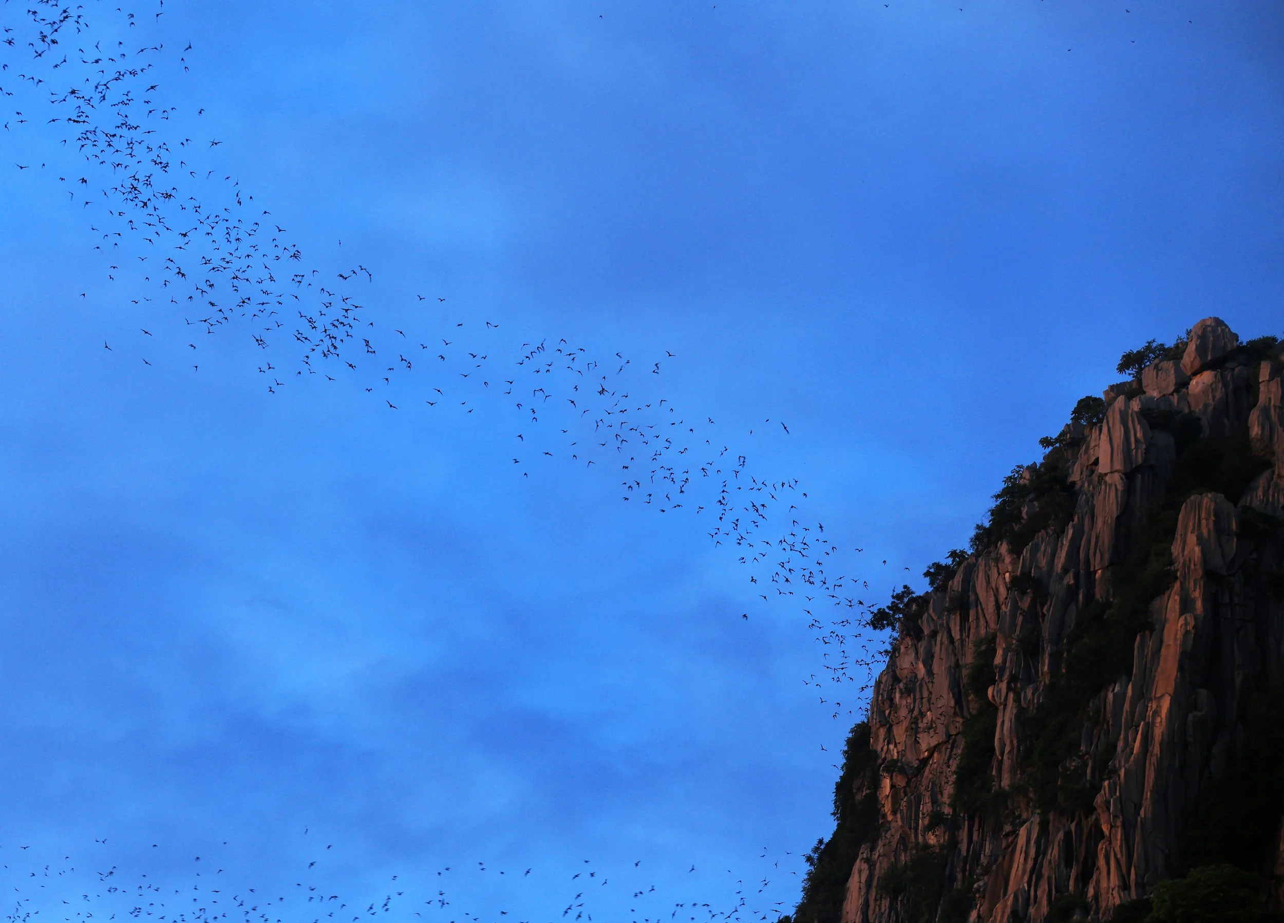 Khao Nor Khao Kaew Bat Viewing Nakhon Sawan (50).jpg