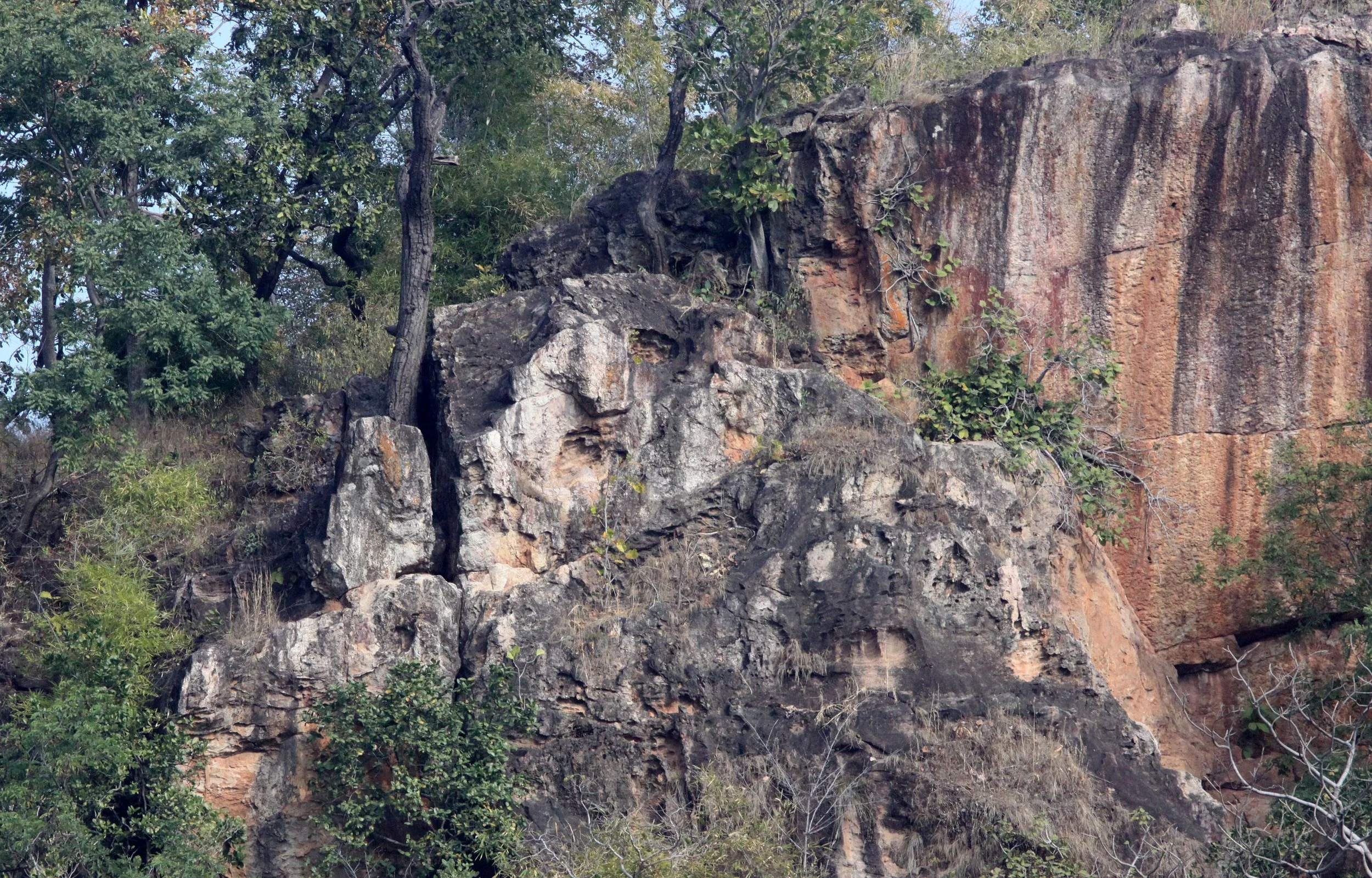 MADHYA PRADESH - BANDHAVGAR NATIONAL PARK INDIA (2).JPG