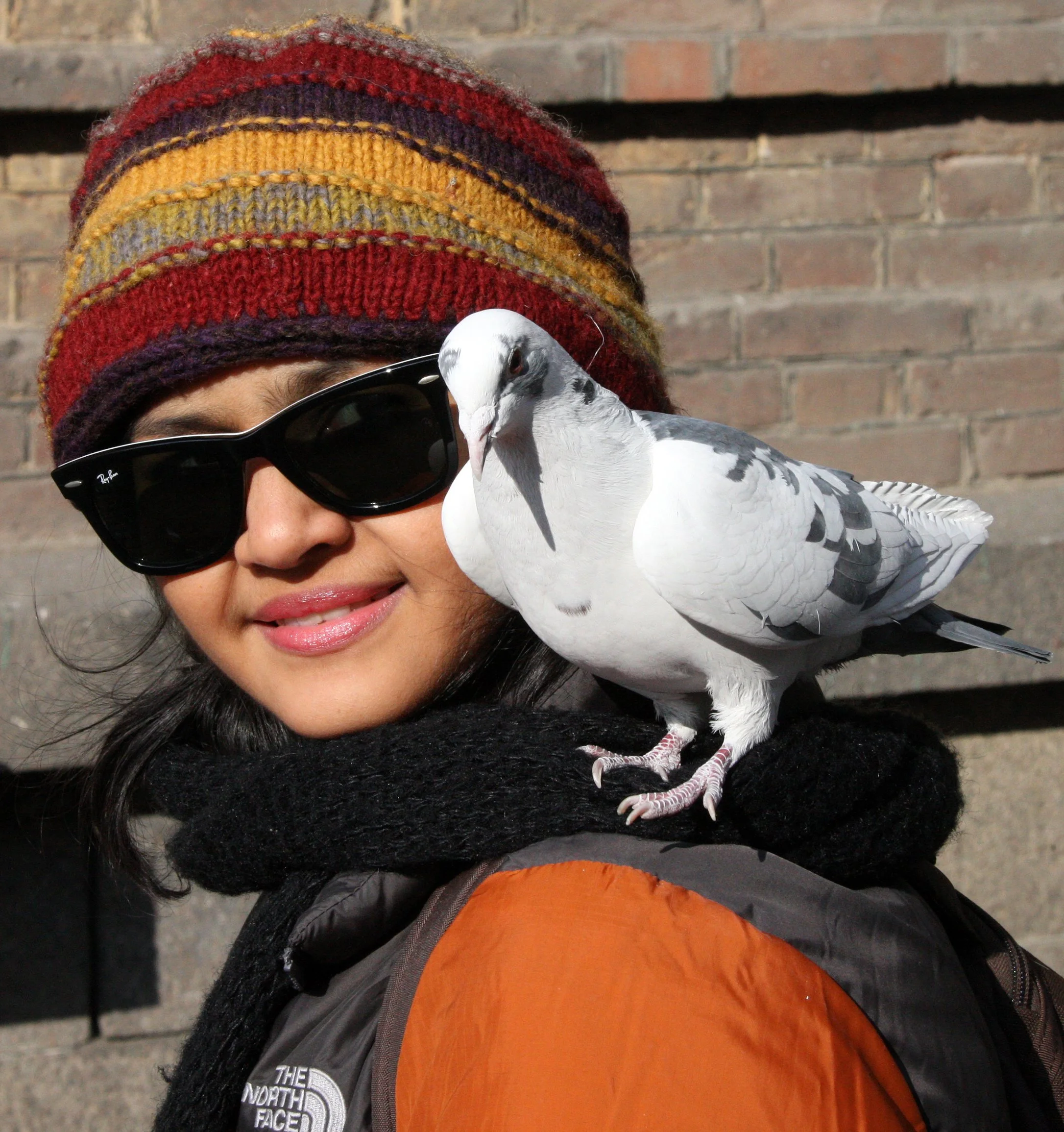 BIRD - PIGEON - HARBIN SAINT SOPHIA'S CATHEDRAL CHINA (55).JPG