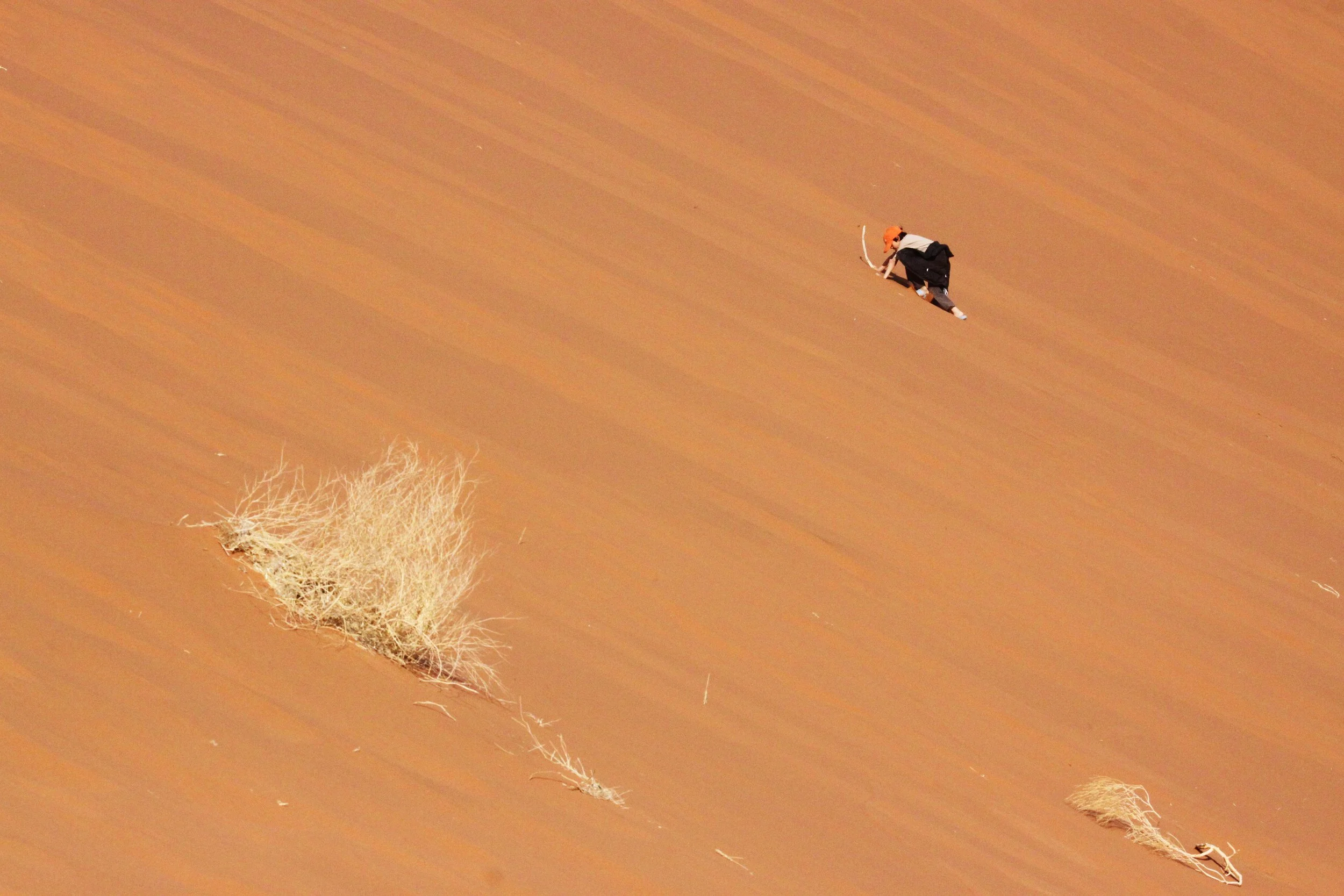SOSSUSVLEI, NAMIB NAUKLUFT NATIONAL PARK, NAMIBIA - DEAD VLEI (99).JPG