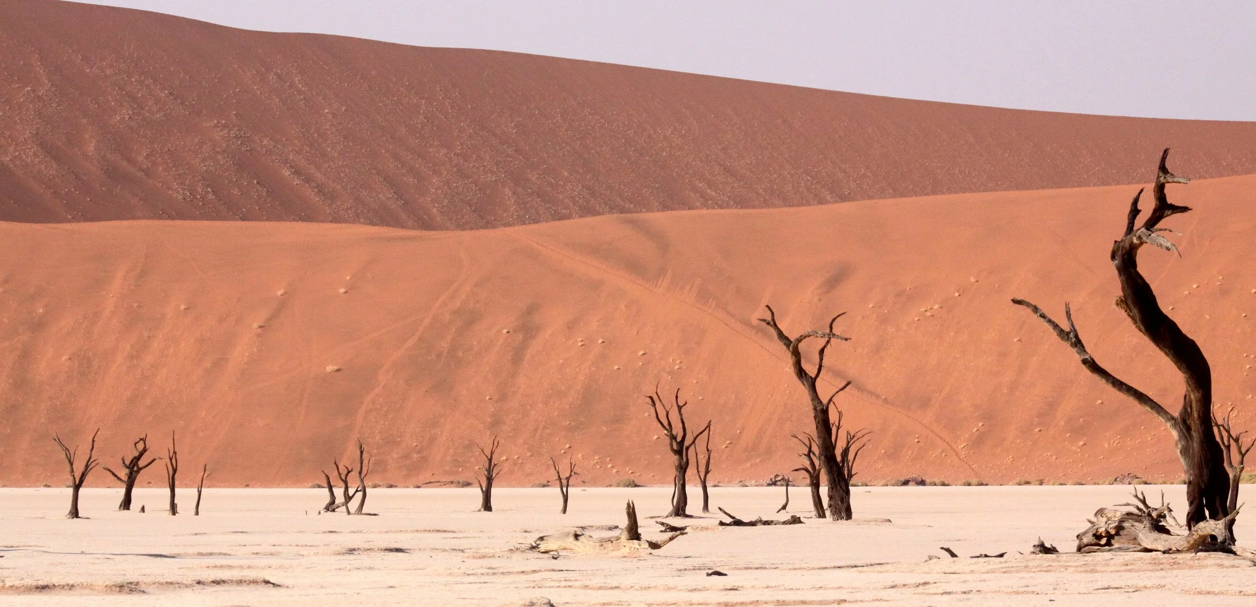 SOSSUSVLEI, NAMIB NAUKLUFT NATIONAL PARK, NAMIBIA - DEAD VLEI (14).JPG