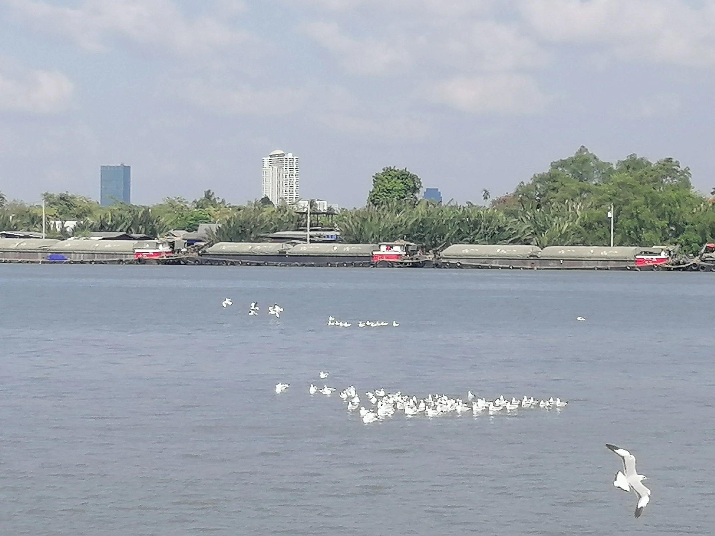 IMG_20190310_091734.jpg