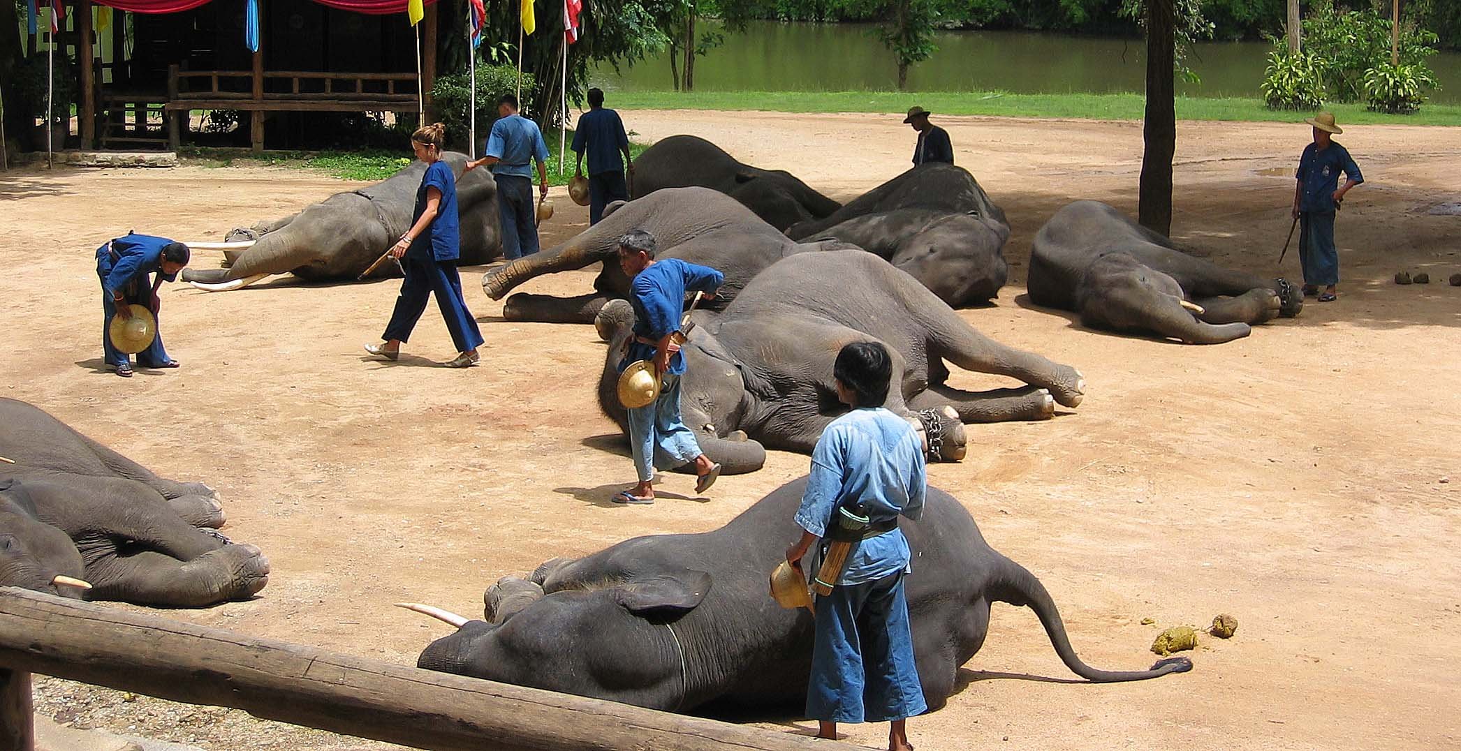 2008 Lampang City & Elephant Center (136).jpg