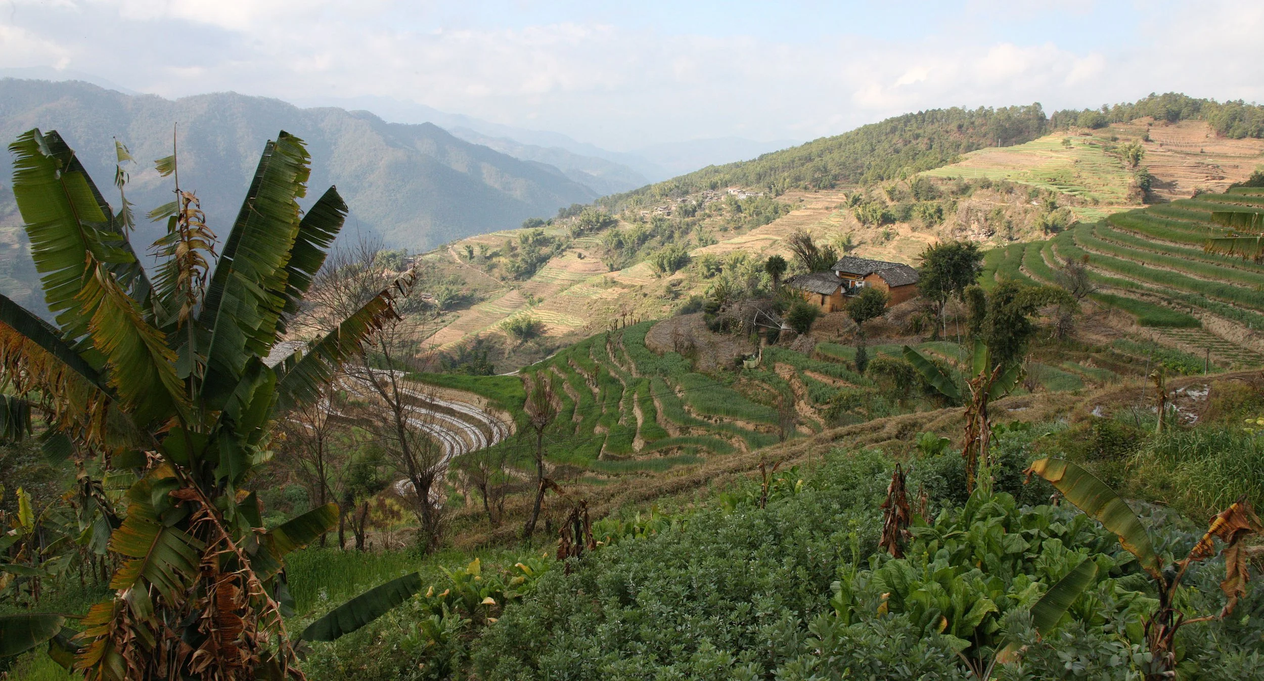 YUNNAN - WULIANGSHAN NATURE RESERVE AND SURROUNDING REGION (4).JPG
