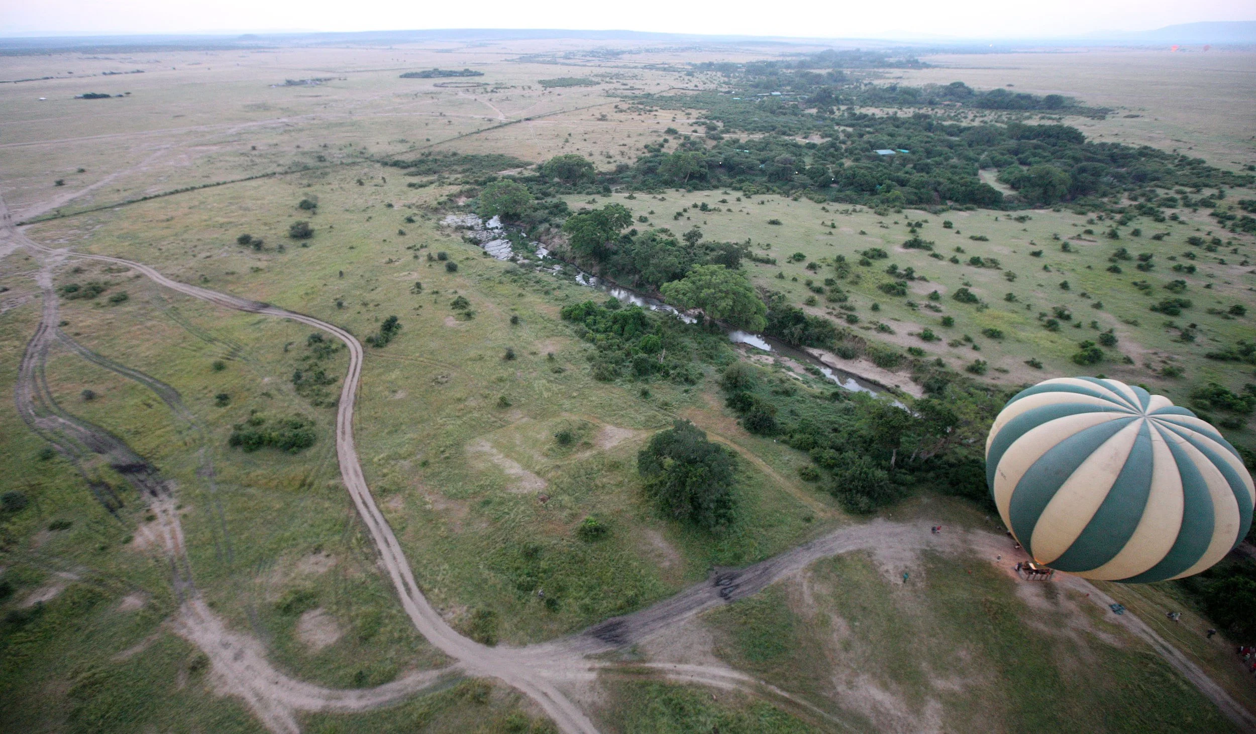 MASAI MARA NATIONAL PARK KENYA (46).JPG