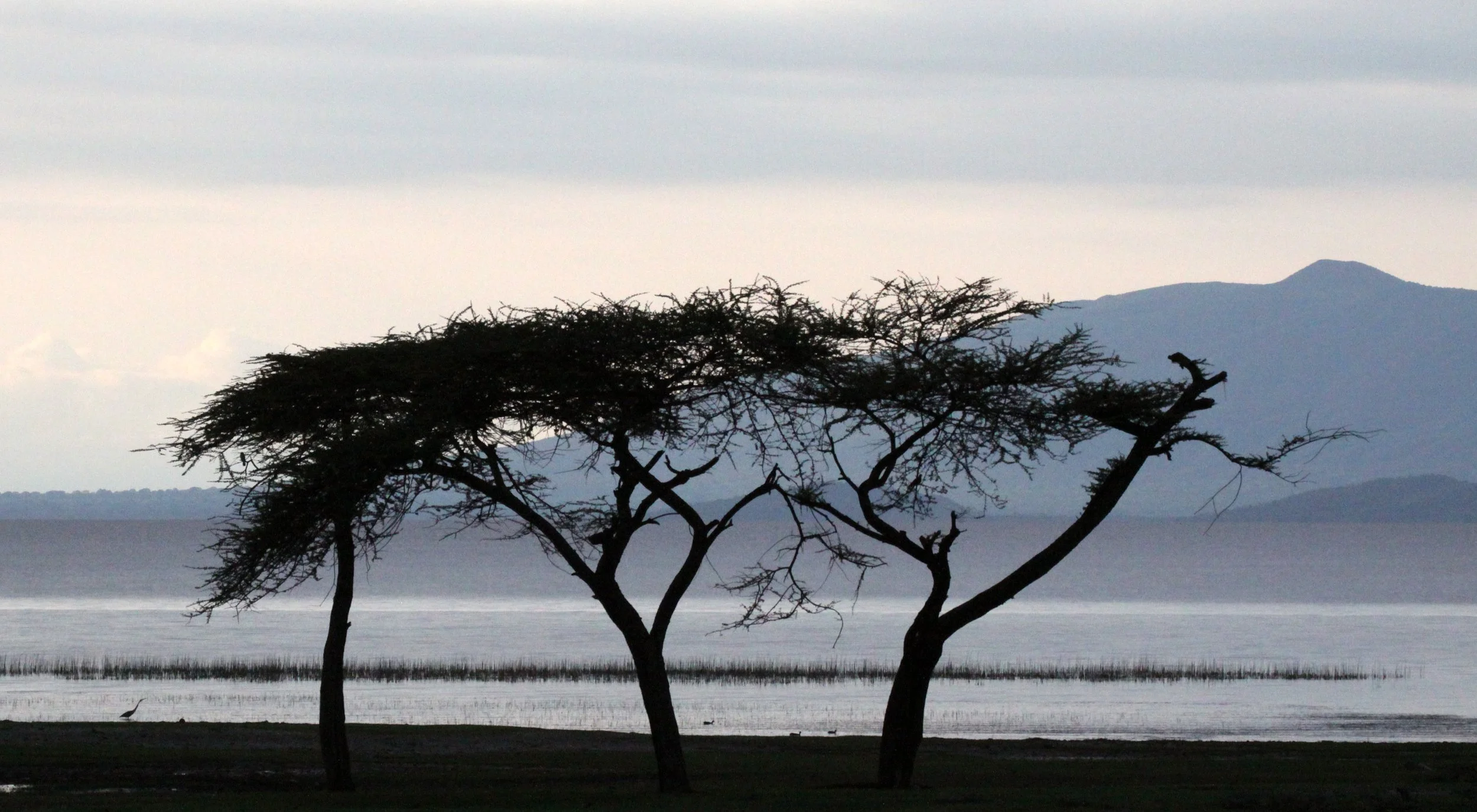 LANGANO LAKE ETHIOPIA (18).JPG