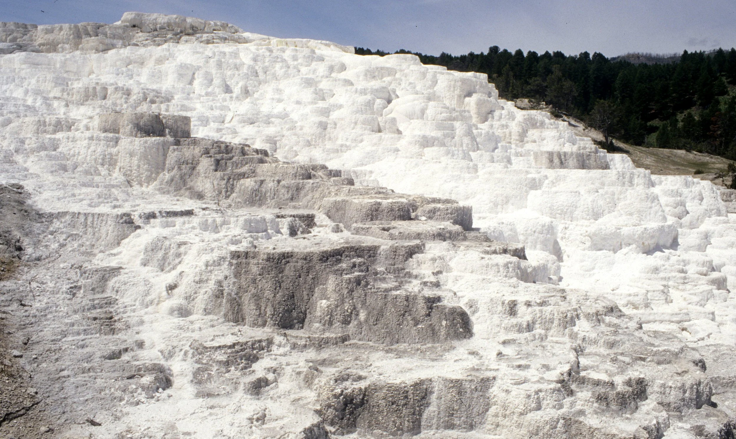 YELLOWSTONE - MAMMOTH HOTSPRINGS EW.jpg