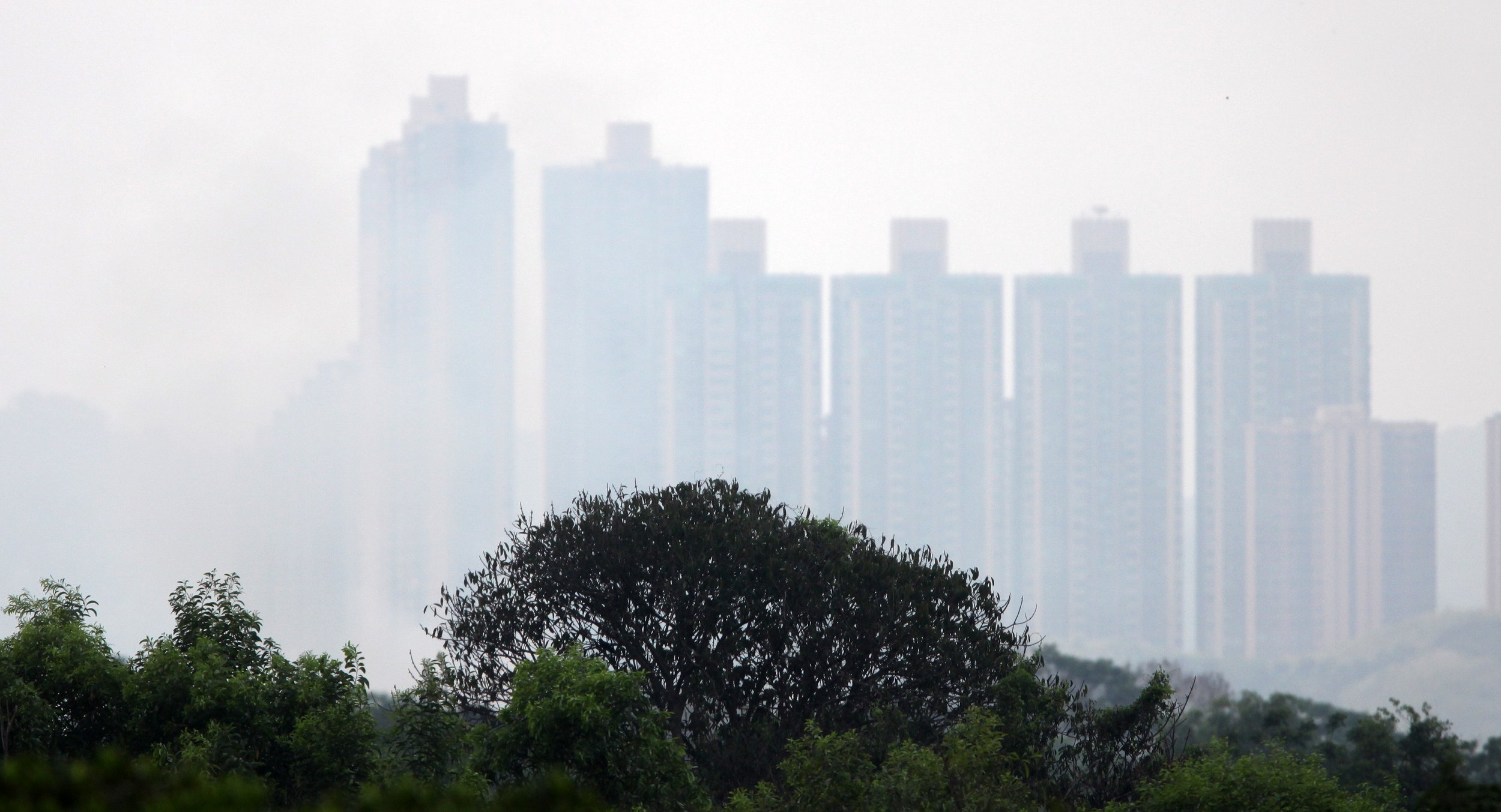MAI PO WETLANDS HONG KONG (19).JPG