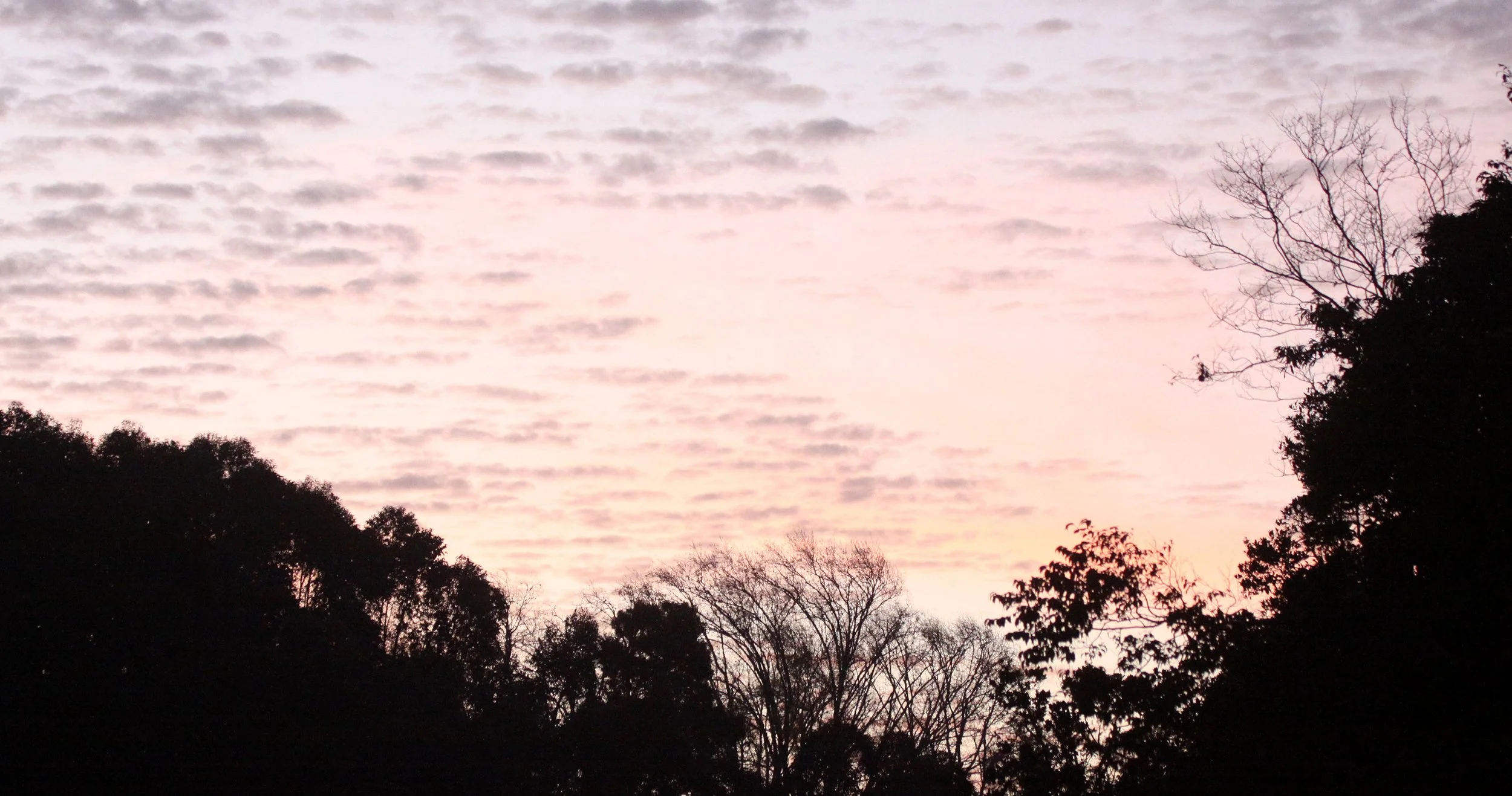 MANTADIA NATIONAL PARK MADAGASCAR - SUNSET OVER PERINET (5).JPG